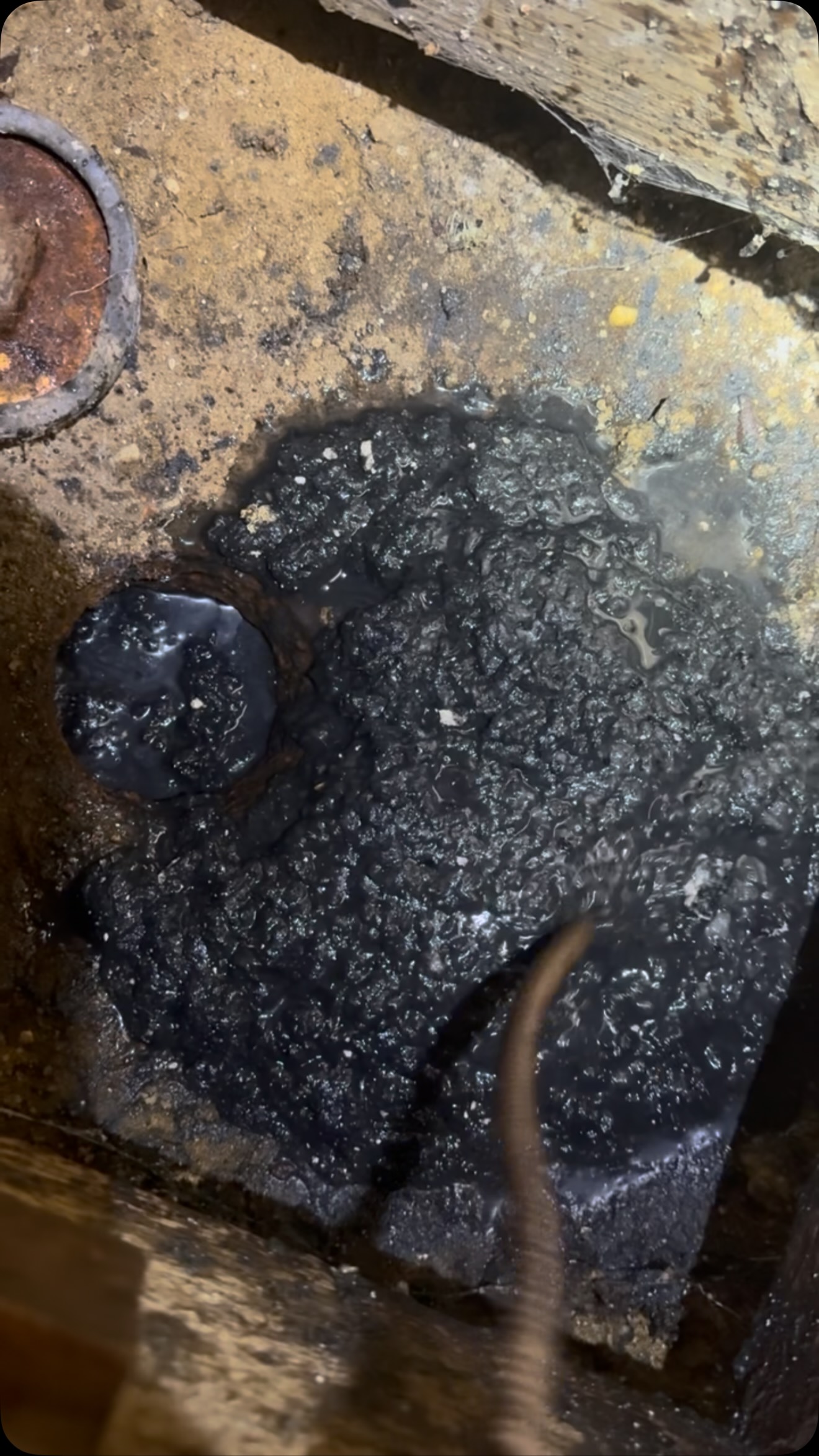 Another Satisfied Customer
Sewer main backed up in laundry room
We came and assessed and noticed grease build up in line
We cleaned out main line removed heavy roots and grease!
Slop sink was still backed up afterwards so we snaked that separately and cleared stoppage as well ❗️
Don’t Wait Until It’s Too Late! Contact us now for a free estimate to ensure your drain systems are running the way they need to be!
- Preventative Maintenance Contracts 📋
- High Pressure Water Jetting 💧
- Camera Pipe Inspections 📸
- Grease Trap Service Contracts 📋
- Plumbing Repairs 🧑🔧
- Water and Sewer Line Repair / Replacement 🚧
- 24/7/365 EMERGENCY 🚨 SERVICE ❗️
REFERRAL PROGRAM ALWAYS ACTIVE!
RECEIVE PERCENTAGE OF EACH PROJECT YOU SEND! 🔥 #plumber #nyc #sewer #realestatenews #construction