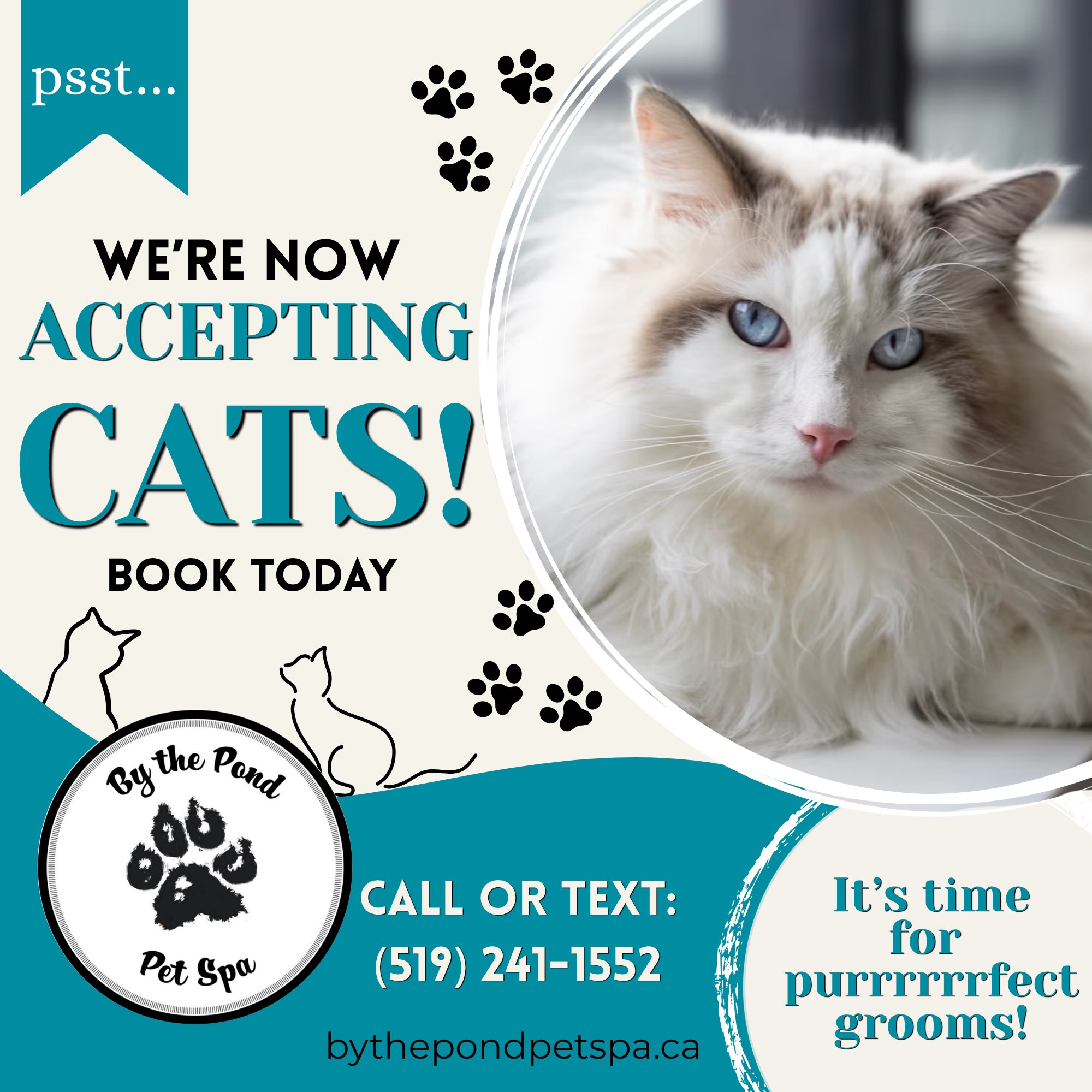 Pspspspspsps… we’re now grooming cats! 🐈⬛
Text or call us to book your furry feline in for a groom: (519) 241-1552 🐾
#catgroomer #catgroomers #doggroom #catsofinstagram #cambridgeontario