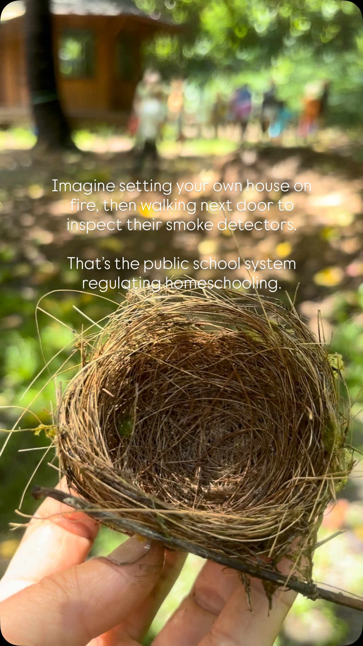 We don’t need more oversight of children learning outside the system.
We need to start asking harder questions about the system they’re opting out of.
Why is learning only trusted when it happens inside an institution? Why is standardization considered safe, while individualized education requires scrutiny?
The question isn’t whether children can thrive outside of school. The proof is in the pudding. Homeschoolers are growing up, entering universities, building careers, starting businesses, raising families and contributing to their communities.
Children have been learning outside of classrooms for decades. At some point, we have to acknowledge what’s already right in front of us.
#outdooreducation #homeschooling #alternativeeducation #schoolfreelife #freetolearn