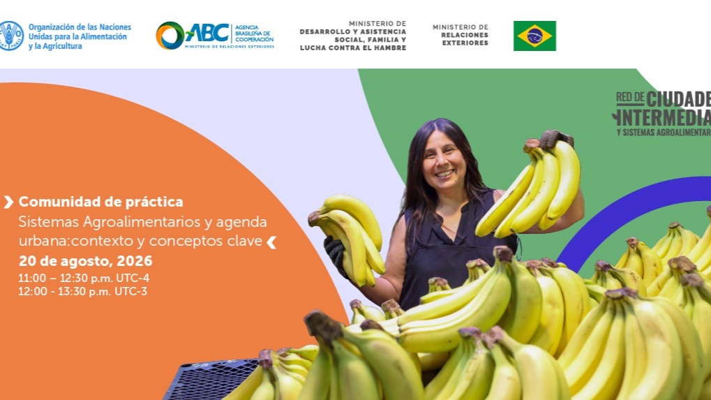 ¡Participa en nuestra Comunidad de Práctica!
Abordemos juntos conceptos clave, experiencias y desafíos para avanzar hacia sistemas alimentarios más sostenibles, inclusivos y resilientes en nuestras ciudades.
Jueves 20 de agosto
11:00 a 12:30 horas (Chile)
12:00 a 13:30 horas (Brasilia)
Revisa más información en www.redcisa.org