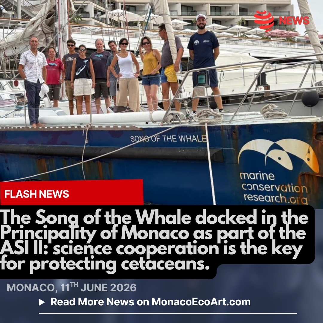 @mo.eco_art MonacoEcoArt.com #flash #news #monaco #international #cetacean #protection 🇲🇨🐬🐋 On the 11th June 2026, the research vessel Song of the Whale docked in the Principality of Monaco as part of the ACCOBAMS Survey Initiative II (ASI-II), hosting a joint conference with the Yacht Club of Monaco to emphasize large-scale international cooperation for #protecting cetacean populations across the #Mediterranean and Black Seas: this ongoing international #scientific program, running from 2025 to 2028, is being coordinating inter-state aerial, vessel-based, and #acoustic monitoring 🔬🧬🌡️ This #expedition aims to collect #data on cetaceans present in the area and identify possible new #species eight years after the last census, in order to the scientific #monitoring of marine ecosystems and a better #understanding of the effects of #climatechange on cetaceans and marine #fauna 🎯🌊 The core mission of ASI II is: 1. tracking populations of cetaceans, sea turtles, seabirds, and pelagic #fish; 2. evaluating anthropogenic pressures like underwater noise, marine litter, and #ship strikes; 3. supplying robust data to support regional #agreements and environmental directives 👨⚕️👩⚕️The importance of teamwork of marine biology experts aboard the scientific vessel is crucial considering that #whales and #dolphins are used to swimming across borders without care for human maps 🔹 We have to consider that single countries cannot track wide #sea populations on their own, thus sharing data helps governments, and decision makers, build better #marineprotectedzones 📸 © @accobams_ - Layout and Contents by: © MonacoEcoArt.com
