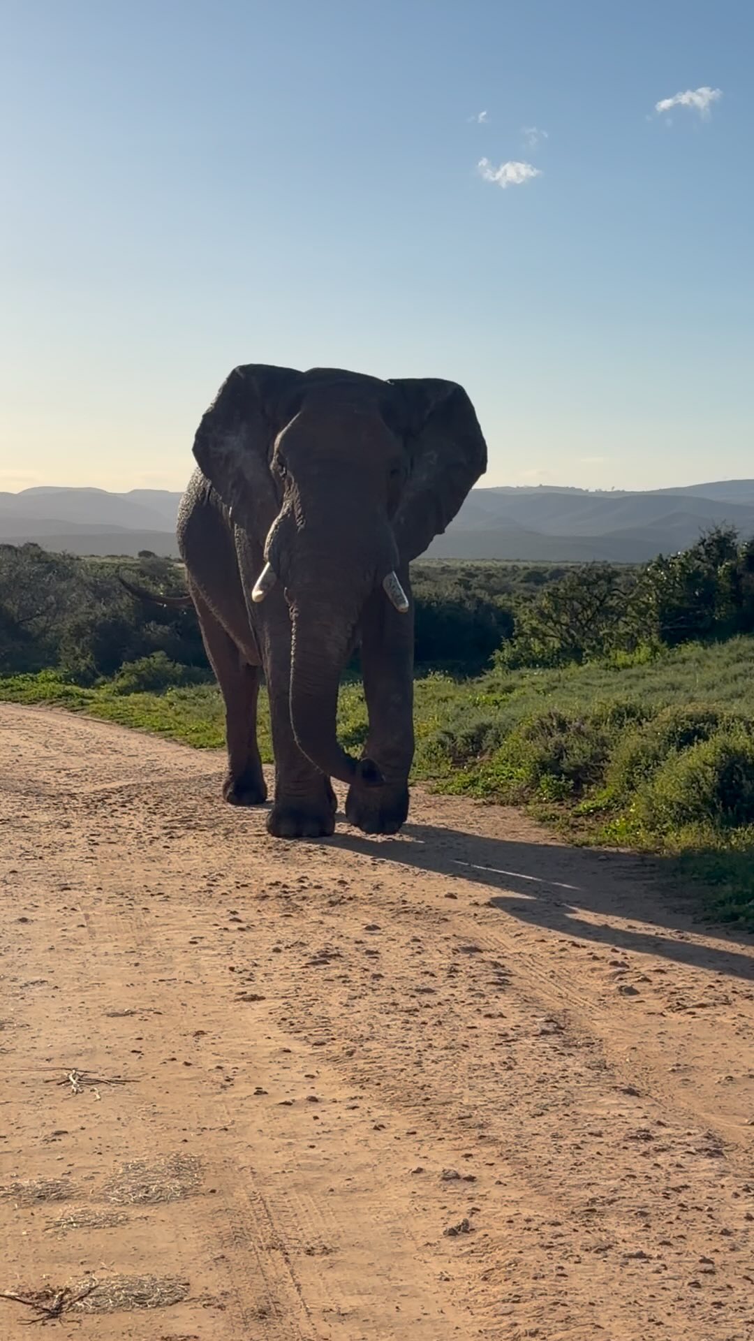 South Africa today www.contrees-sauvages.com