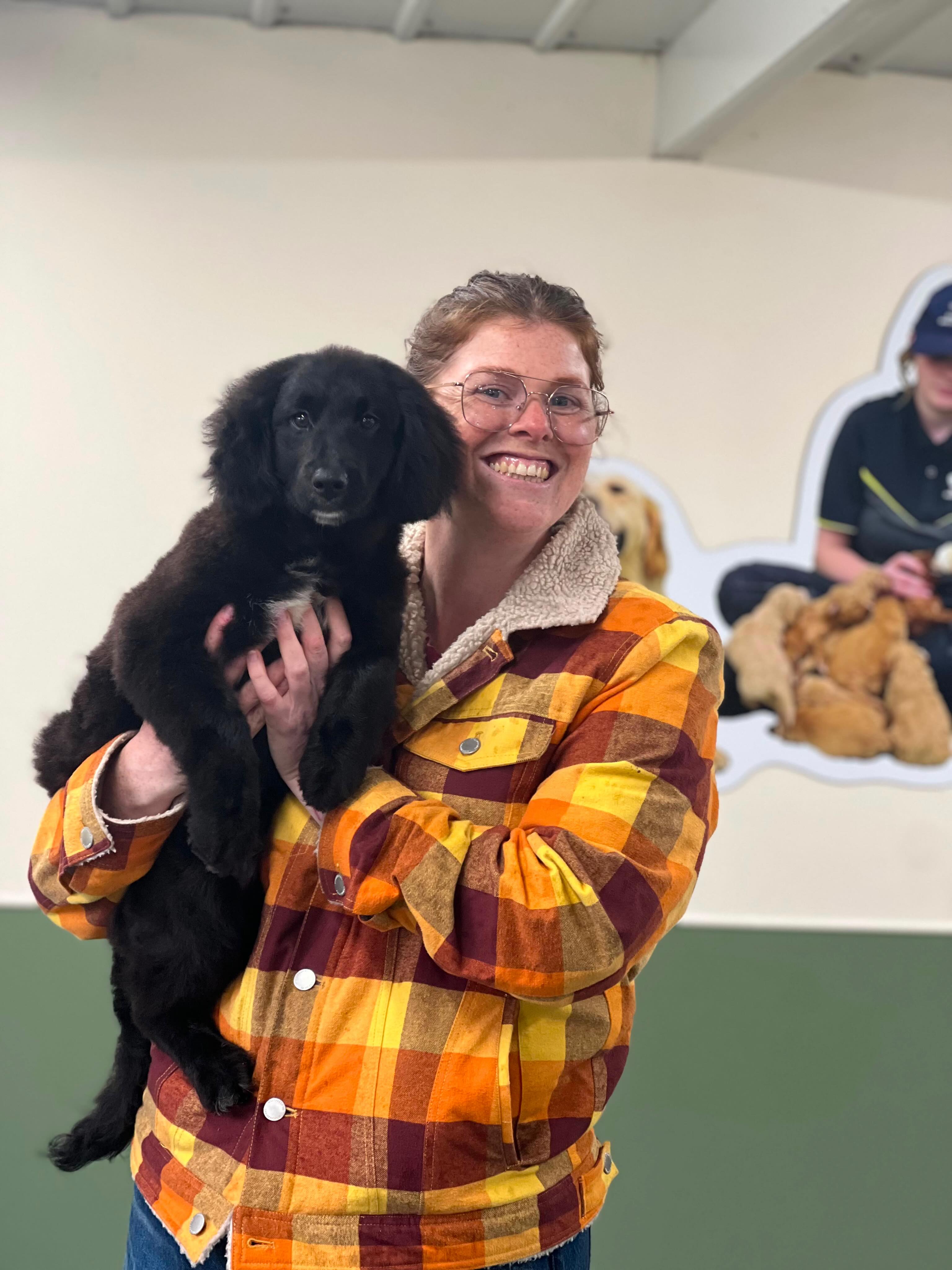 Genevieve’s heart is full, her beautiful Bordoodle pup has found the warmest arms to call home. From the very first cuddle, it’s clear this bond was meant to be. A journey of love, laughter, and wagging tails begins today.
#puppiesdownunder #bordoodlejoy #newpuppyadventure #familybond #BR100575