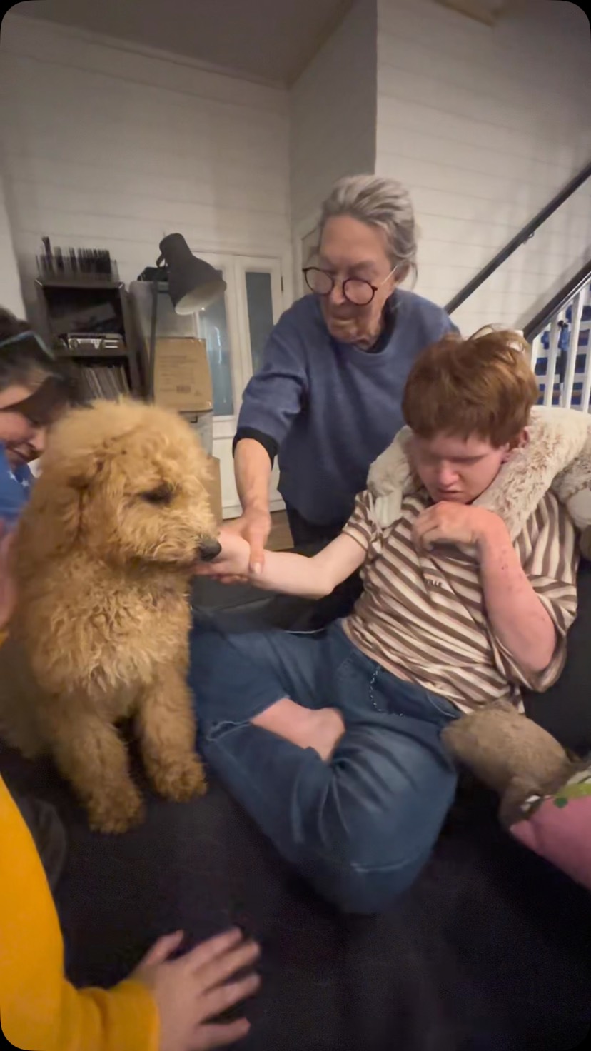 Toni’s sweet Clare, a beautiful female Labradoodle who knows how to brighten every heart. With her soft curls, gentle nature, and those soulful eyes, she brings comfort, joy, and endless love to every moment. Clare isn’t just a pup… she’s family.
Source No: BR100575
#puppiesdownunder #clarethelabradoodle #gentlepupmoments #aussiedogs #BR100575