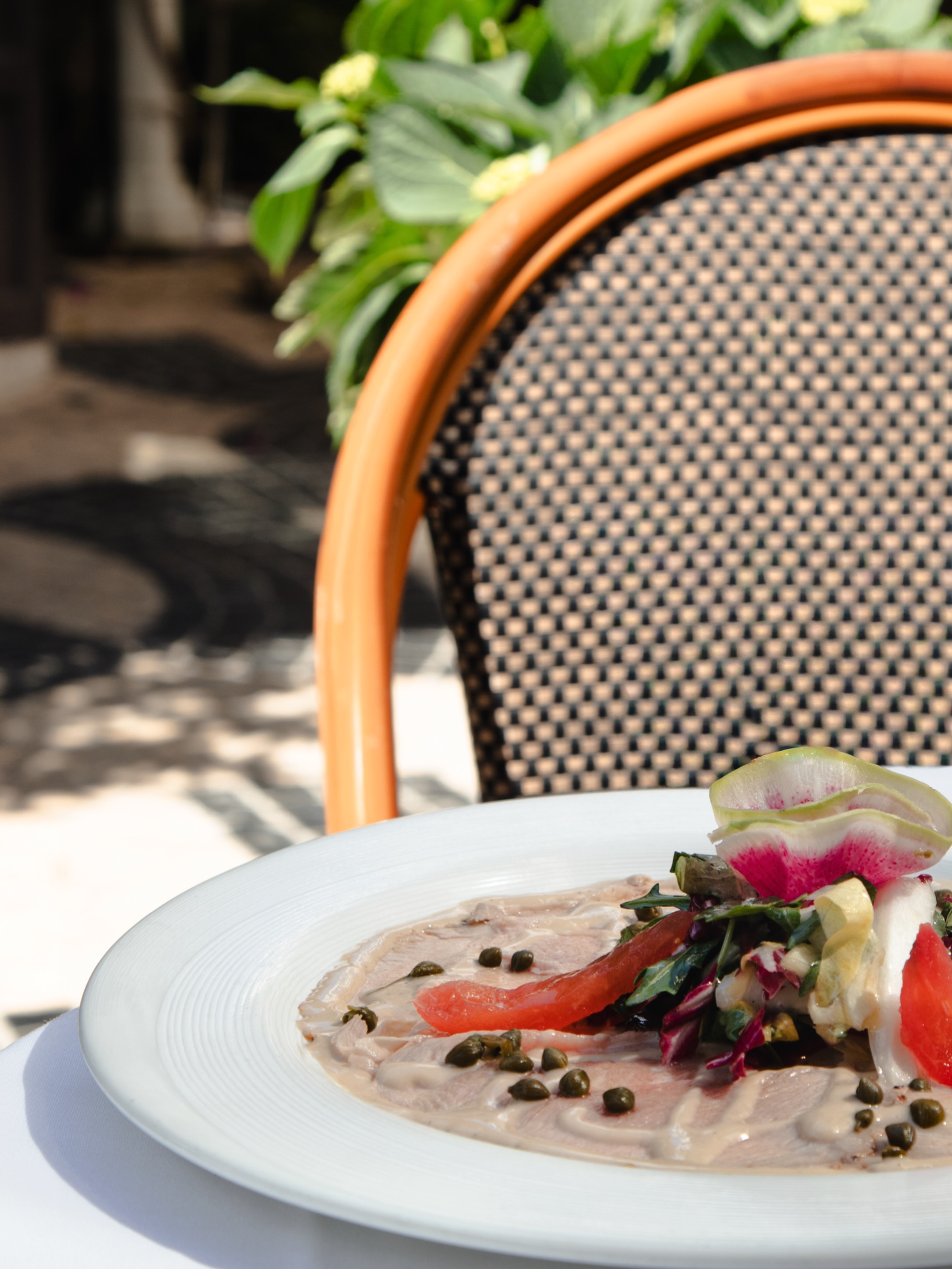 The colors of summer, with the elegance of Palm Beach.
Sunlit tables, vibrant Italian flavors, and the timeless sophistication of BiCE Ristorante where every detail feels effortlessly beautiful.
Summer on Worth Avenue, the Italian way.