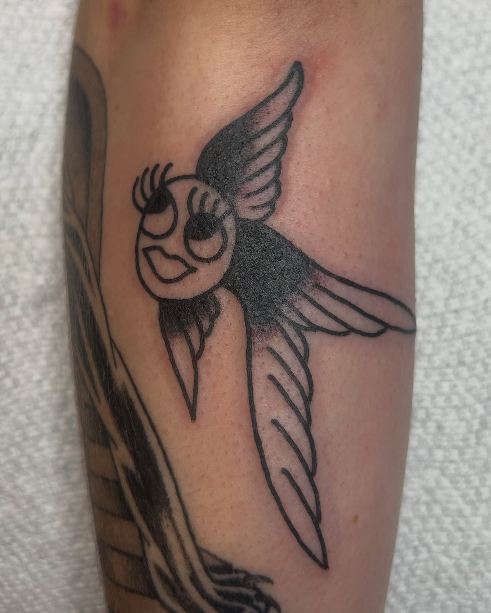 walk-in fish speaker tat