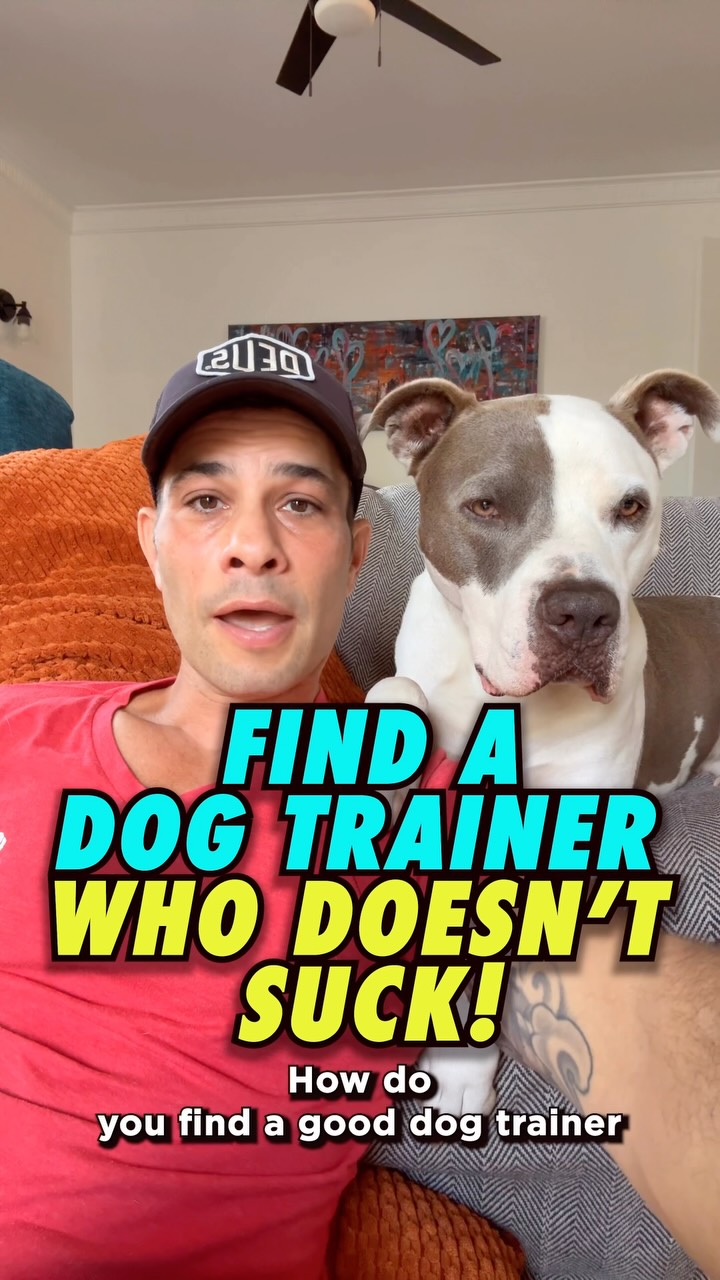 My tips for finding a good dog trainer the first time. If you all have other ideas I haven’t thought of👇Please drop a line.
1- Referrals from people whose dogs are trained the way you want yours trained.
2- Seeing their work on line- Youtube, social media, etc.
#dogs #dogtraining #dogmom #dogdad