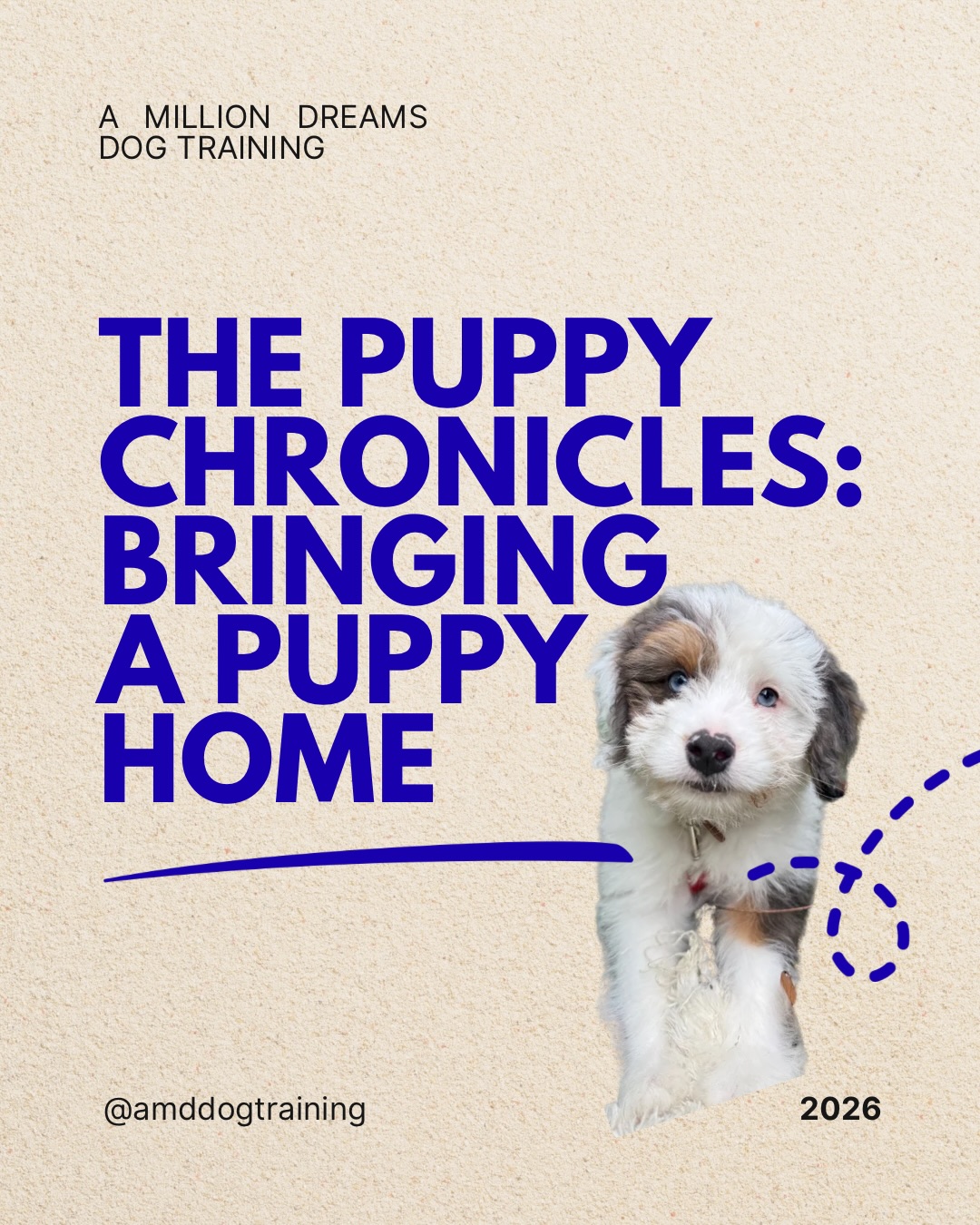 Part 2 of the puppy chronicles: preparing for your puppy or new rescue to come home!
Preparation is the key to success— you don’t wanna get to the big day and realize that you have to run to the store and buy 1 million things. Prep ahead of time with the basics so you can spend the first few days with your new puppy with safety at the forefront.
Xo, Steph 🫶
#puppy #puppytraining #dog