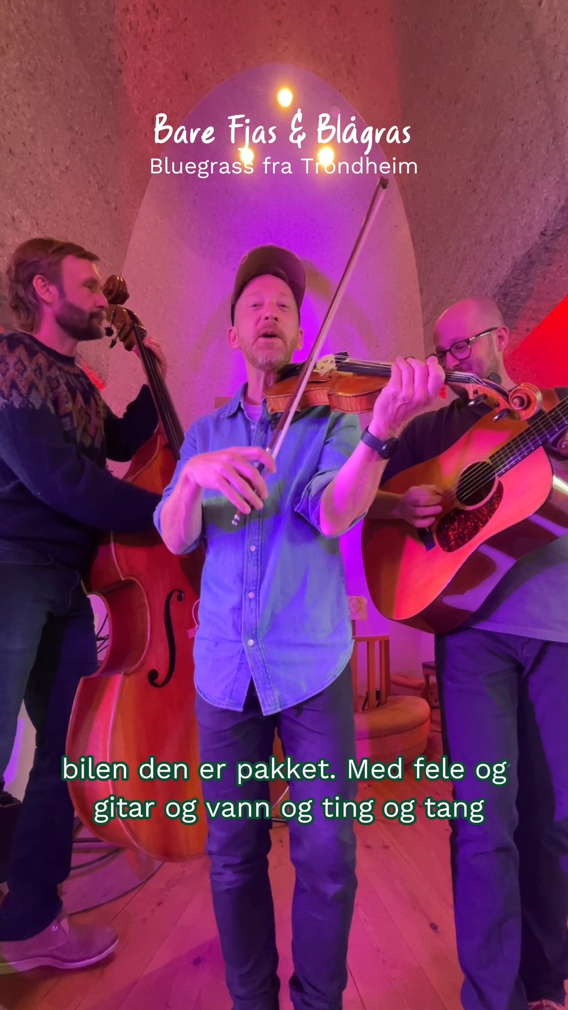 @barefjasogblagras inntar hovedscenen neste søndag: 23. august!🤩🎻 Bluegrass-bandet fra Trondheim spiller musikk inspirert av Øystein Sunde og Knutsen & Ludvigsen!🥳 Passer perfekt for barn, men definitivt også for voksne! Ta med familien på konsert: Søndag 23. august kl 12.00 🐮 #opplevtrøndelag #hvaskjeritrøndelag #agrisjå2026 #familieopplevelse #folkefest
