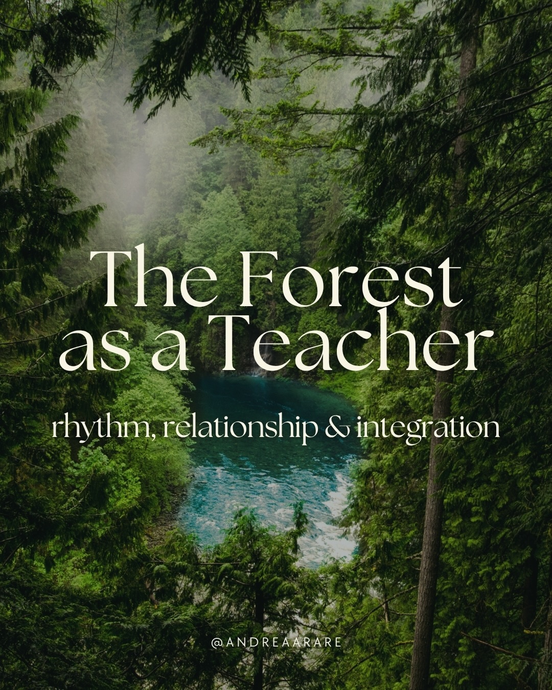 A forest holds many forms of intelligence. It teaches through rhythm, relationship, decay, regeneration, silence, and presence.
We don’t need to extract a lesson from it.
We can simply begin by listening.
Swipe ➡️ to enter the forest 🌲
#naturewisdom #natureconnection #forestwisdom