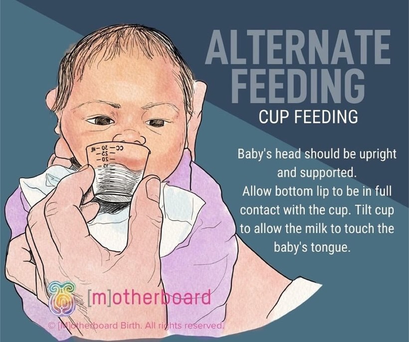 Breast/chest/spoon/cup/syringe/bottle...all that matters is that your baby is FED in those first beginning days!!
There are many alternative ways to feed a baby when in need, it depends on what Mom and Baby are both physically and mentally capable of and able to routinely do.
Swipe through and please share what has worked best for you!
Repost from @motherboardbirth
#newbornbabies #babiesbabiesbabies #infantcare #momshelpingmoms