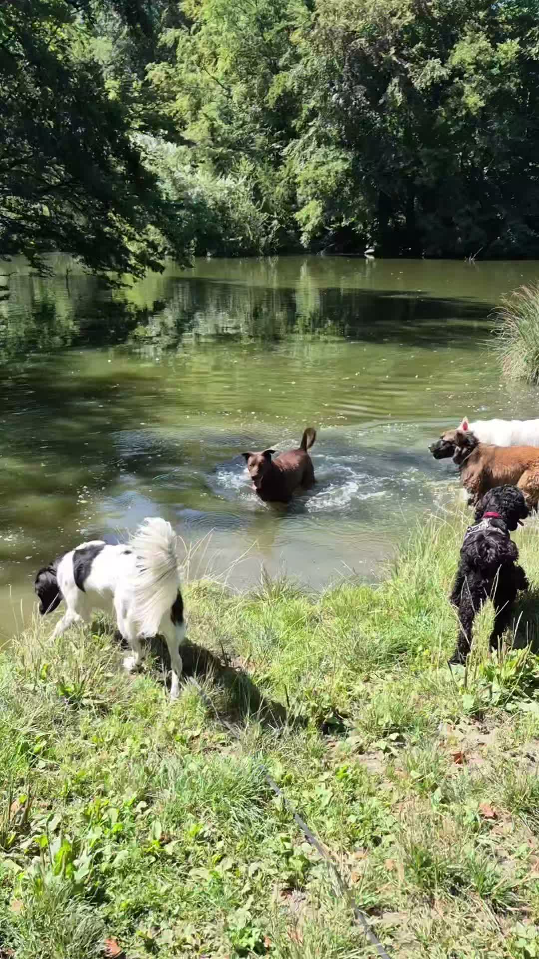 Een groot water feest hier π₯³π₯³π₯³