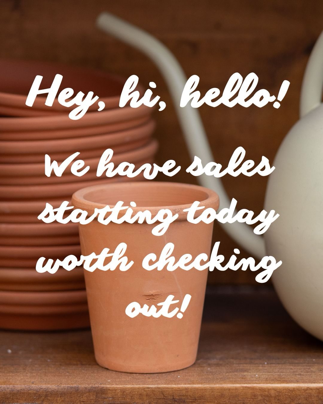 Swipe to check out our amazing sales happening! We have the greenhouse set up the greenhouse with some clearance items, from now August 20th! And secondly all of our outside plants are 30% off until September 1st!