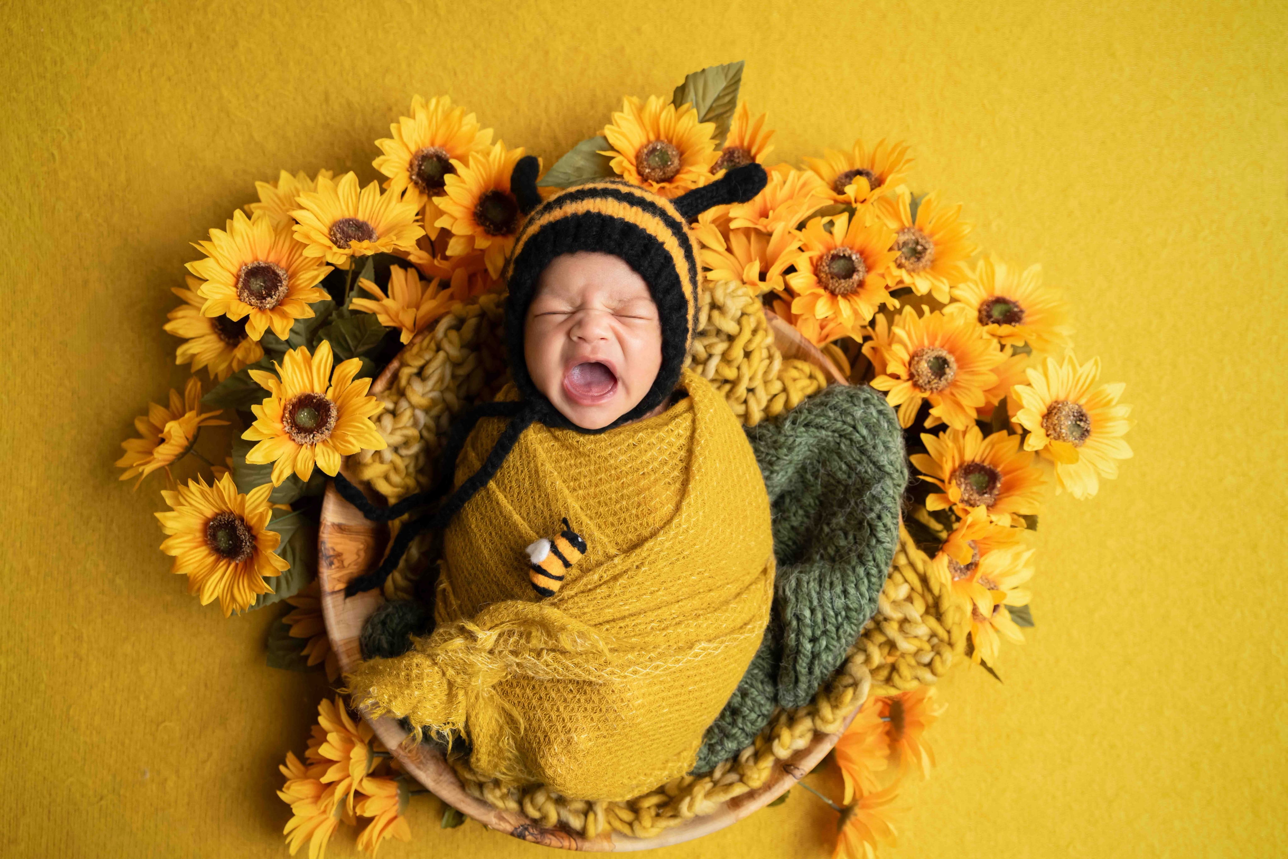 Is it still summer, or does it feel like fall already?🌻🌻
Either way, this little bee looks perfectly at home among the sunflowers.
Calgary Baby Photographer
Newborn photographer
Calgary AB
#calgarynewbornphotographer #calgarybabyphotographer #yycbabyphotographer #yycnewbornphotographer #yycnewborn