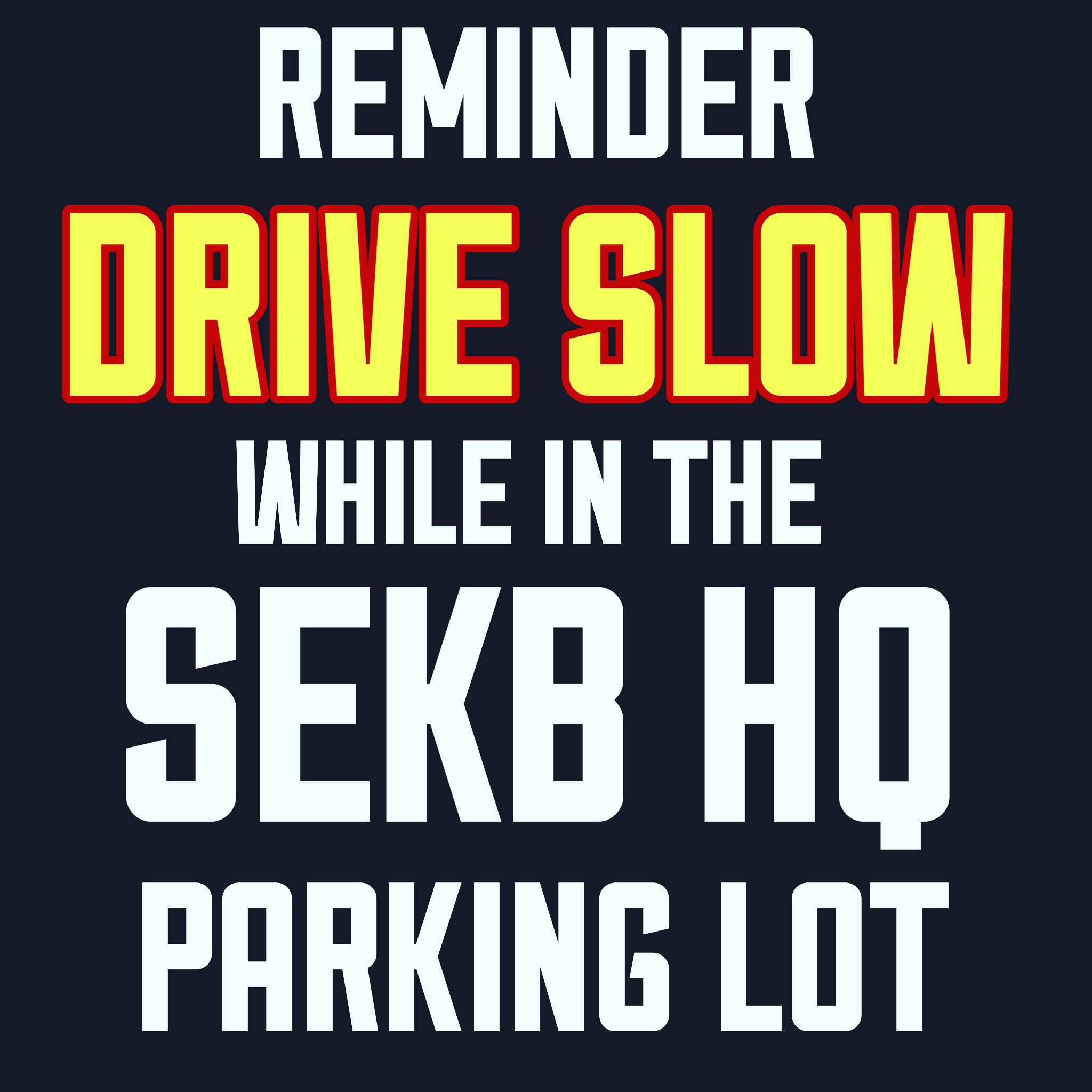 CRUCIAL THAT PEOPLE DRIVE SLOW IN THE LOT!