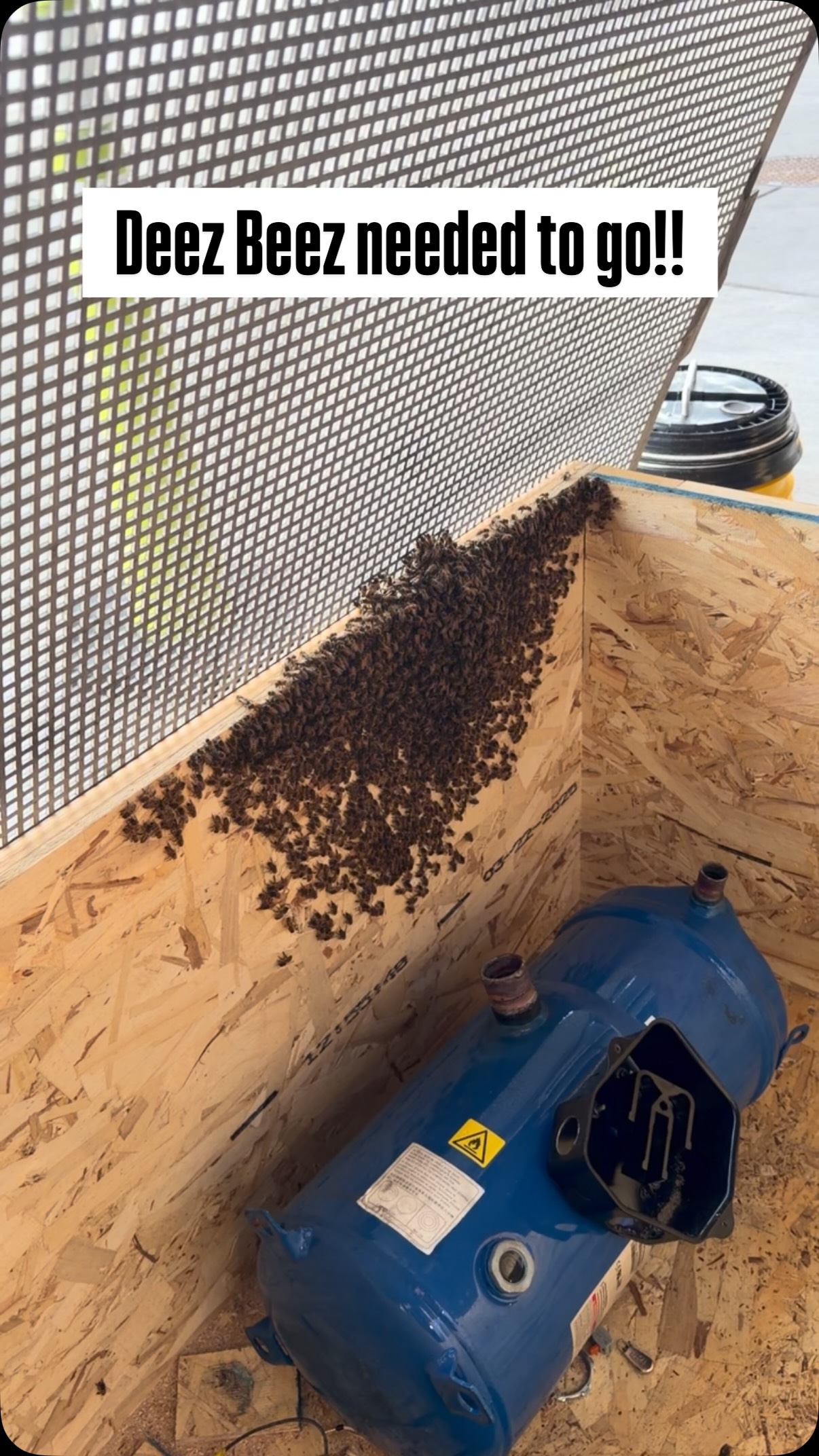 #savethebees🐝 #livebeeremoval #southwestairlines #nashville #airport