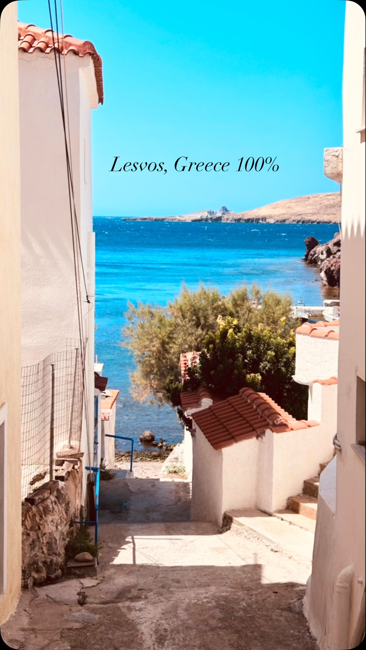 FR > L’île de Lesvos est bien plus qu’une île :
- 11.000.000 d’oliviers
- 1 Géoparc mondial UNESCO, avec sa spectaculaire forêt pétrifiée vieille de millions d’années
- Près de 40 % de la production grecque d’ouzo
- La 3e plus grande île de Grèce
- Le 8e plus grande de la Méditerranée
- 320 espèces d’oiseaux
Et… D’innombrables moments d’été 100% grec.💙
Merci pour ce séjour si riche ! 🇬🇷
ENG > Lesvos island is much more than just vacation :
- 11.000.000 olive trees
- 1 UNESCO Global Geopark, home to its spectacular Petrified Forest, millions of years old
- Nearly 40% of Greece’s ouzo production
- Greece’s 3rd largest island
- Mediterranean’s 8th largest island
- 320 bird species
And… Countless 100% Greek summer moments…💙
Thank you Lesvos for a memorable stay! 🇬🇷 #lesvos #plomari #petrifiedforest #molivos #islandhopping