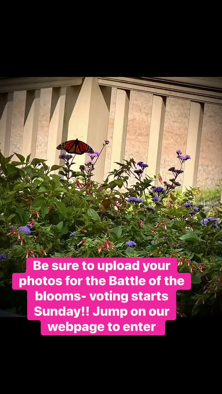 https://www.stockslagers.com/contestentry