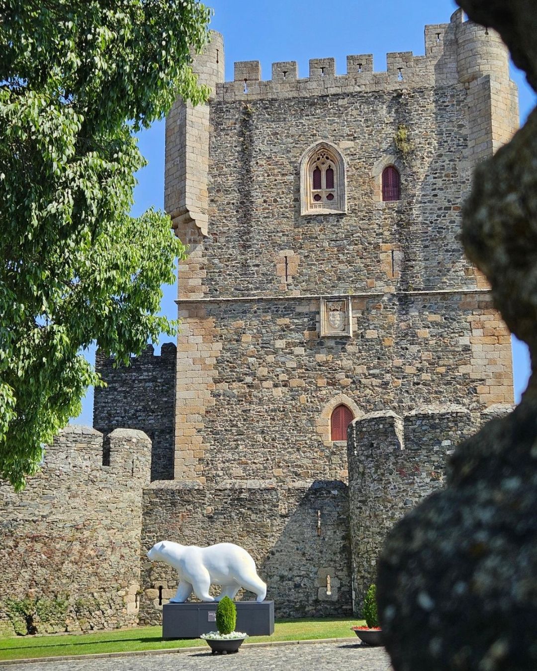 La sculpture monumentale "Le Phoque" de Michel BASSOMPIERRE, s'est installée face au Château de Bragança.
Un dialogue entre l'art contemporain et l'un des monuments les plus emblématiques de la ville.
Avez-vous eu l'occasion de découvrir l'exposition ?
#bragança #exposition #exhibitions #bears #ours #michelbassompierre