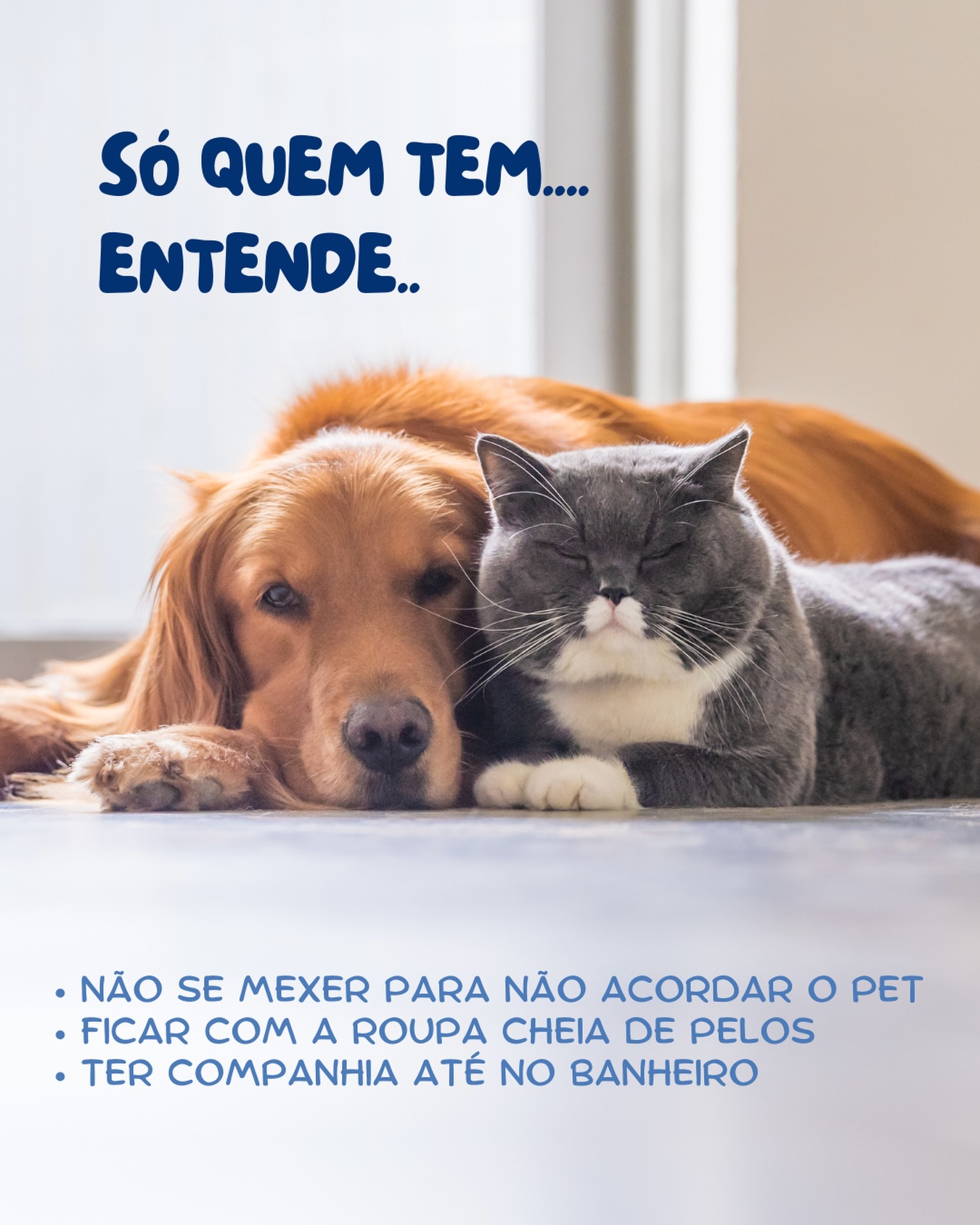 Existem situações que só os tutores de pets compreendem, como descobrir que roupas escuras nunca mais serão as mesmas depois de tantos pelos, rsrs…. Ou saber que seu melhor amigo está te esperando chegar. 🐾❤
Sua vez: Compartilha com a gente alguma mania sua com o seu pet 🐶
#petplace #paidepet #maedepet #amordepe