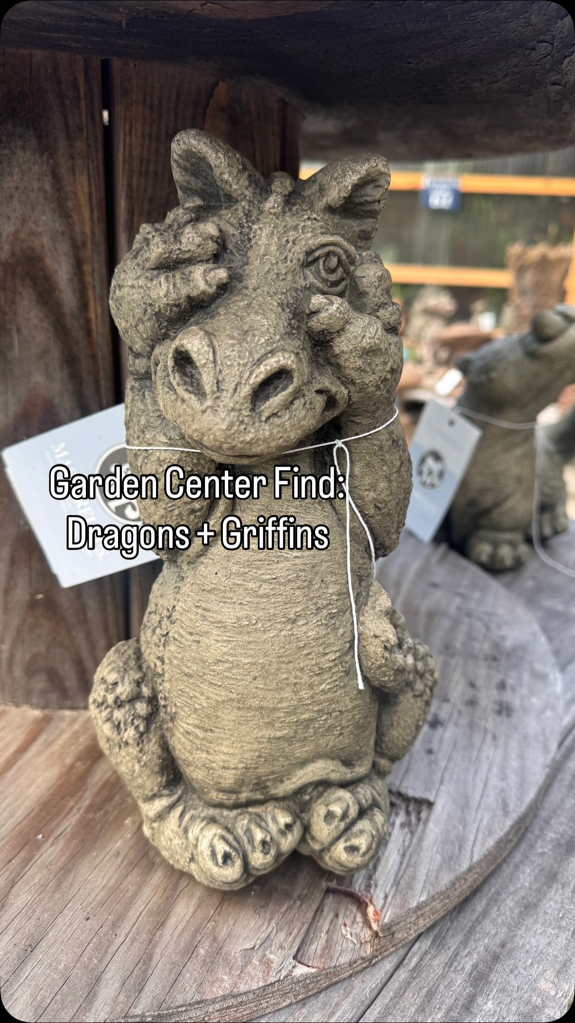 When the garden meets a little bit of fantasy… 🌿🐉✨
Meet our Garden Guardians — a tiny crew of dragons, griffins & mythical mischief-makers ready to claim a spot among the flowers, tuck into a garden bed, or keep watch from the porch.
Made by Massarelli’s, these little characters are cast in premium cast stone and hand-finished in the USA — so each one has its own personality and subtle variations. 🪨🌿
These are the little members of our mythical menagerie — most are around 15” tall or less.
But fair warning… 👀
We have BIG mythical friends, too. 🐲
Come meet the crew at J&S Nursery and tell us: which Garden Guardian are you taking home?
#GardenGuardians #GardenDecor #GardenStatues #Massarelli #WhimsicalGarden