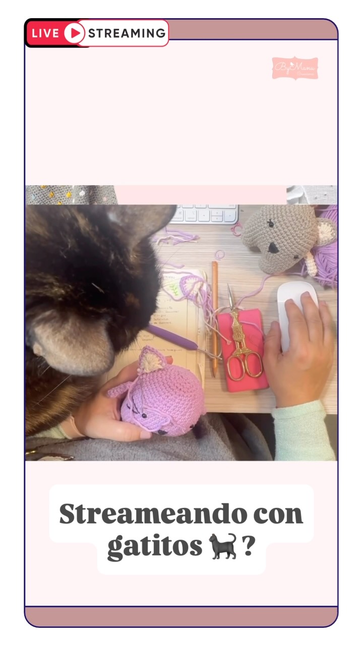 Acá se sigue laborando 🐈⬛🧶💪
Hace unas semanas que estoy prendiendo mientras tejo o bordo… y claro siempre bien acompañada 🐈⬛
Me pueden seguir en mi canal de YouTube, le dan suscribirse al canal… te avisa cuando estoy en vivo y a mí me ayuda un montón con esto del algoritmo 😉
Gracias por bancar siempre 🙌💕