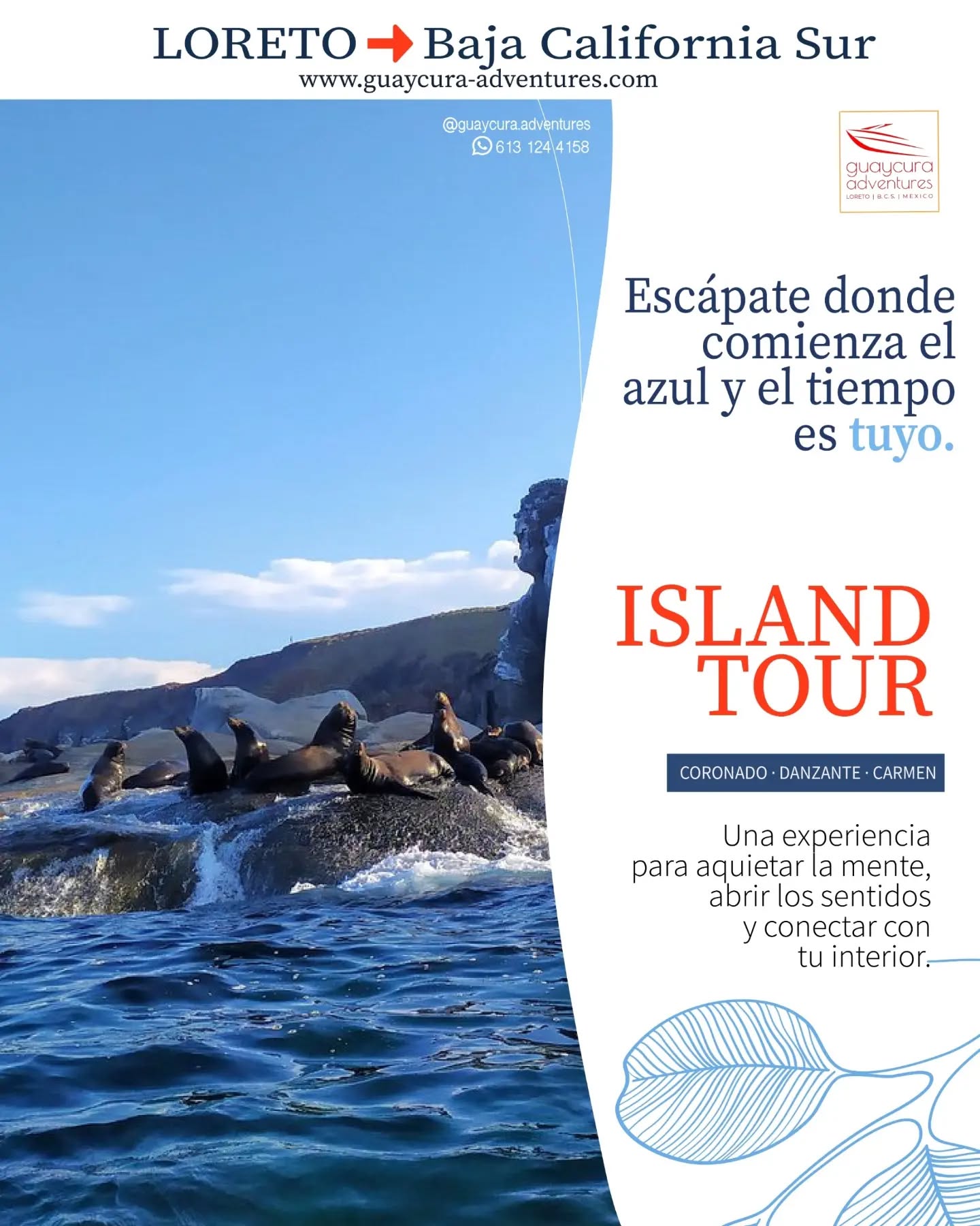 Regálate un día para desconectar, respirar profundo y dejar que el mar haga lo suyo. 🌊☀️
ISLAND TOUR | CORONADO · DANZANTE · CARMEN
Aguas cristalinas, playas de arena blanca y paisajes que parecen sacados de otro mundo. Explora las islas, disfruta del snorkel, descubre la vida marina y vive el Mar de Cortés a tu propio ritmo.
A veces, lo que necesitas no es ir más lejos.
Es simplemente regalarte un momento para volver a ti.
10% OFF | Código 4MTR4
🌐 www.guaycura-adventures.com
📲 613 124 4158
#GuaycuraAdventures #IslandTour #IslaCoronado #IslaDanzante #IslaDelCarmen MarDeCortés LoretoBCS