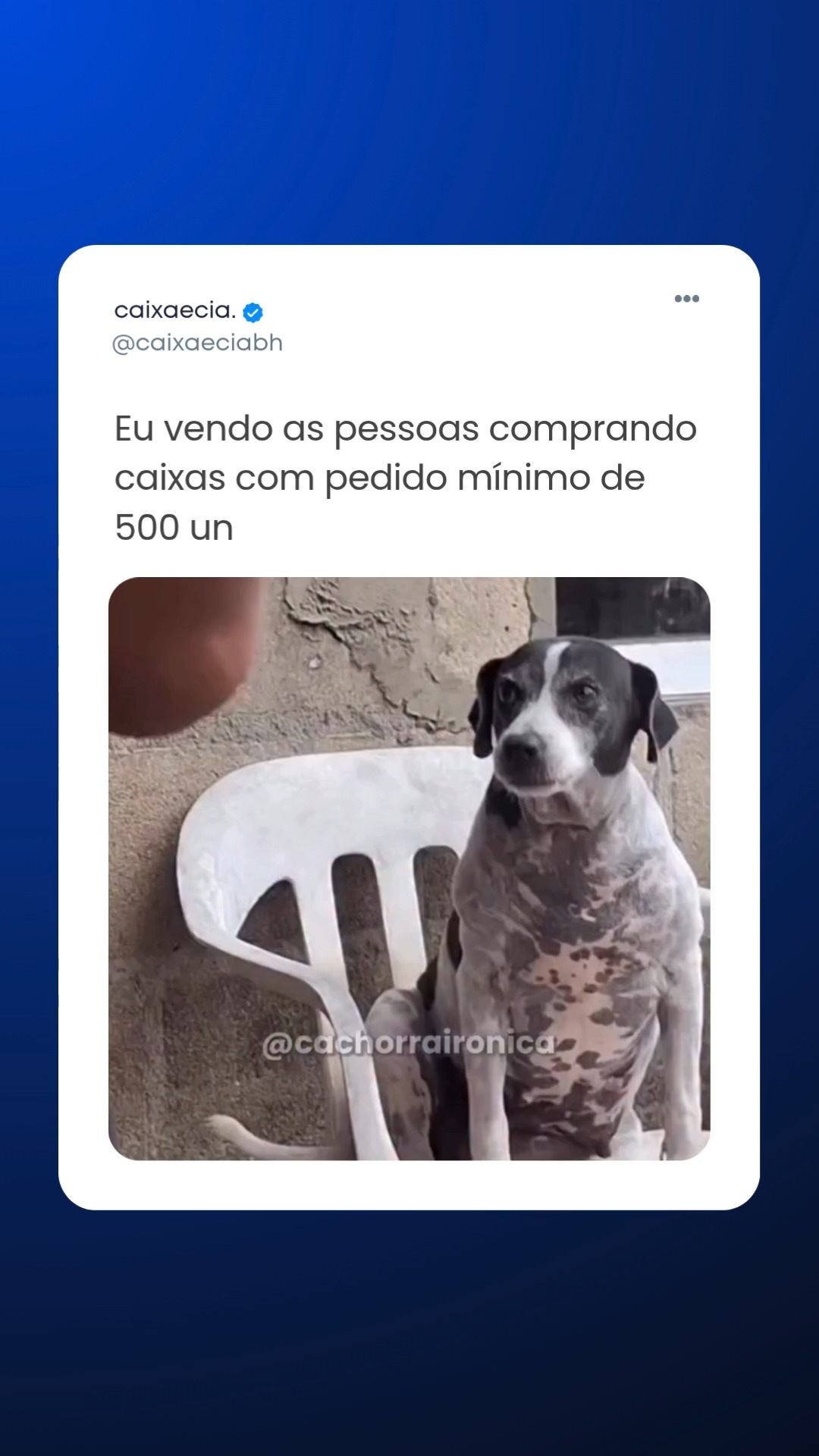 Na Caixa & Cia, fazemos diferente: você adquire a quantidade exata de caixas de que precisa, respeitando a capacidade do seu estoque.
Acesse e o link da bio para orçamentos!