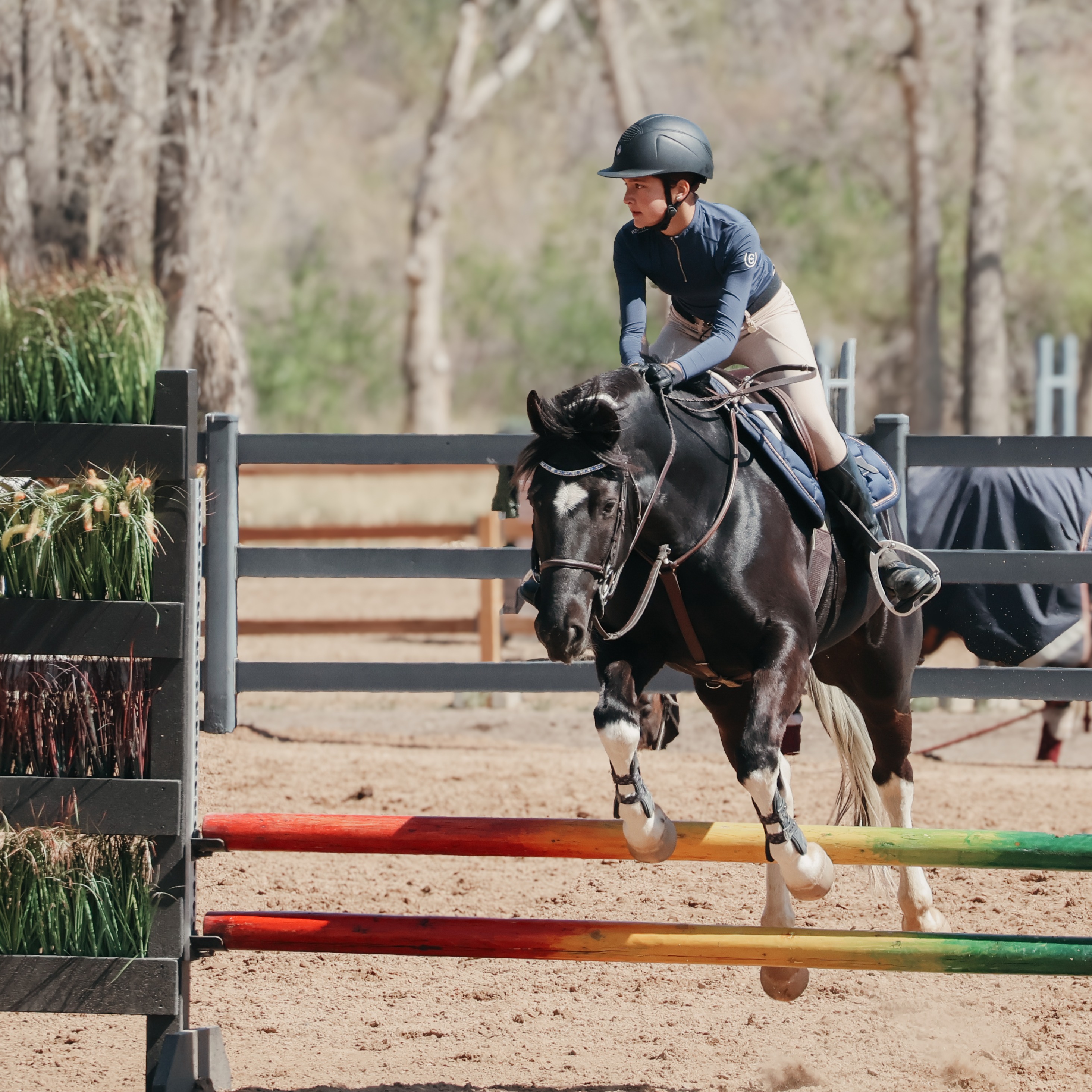 Two girls focused on course π#hunterjumper #horses #NorthernColorado #CHJA