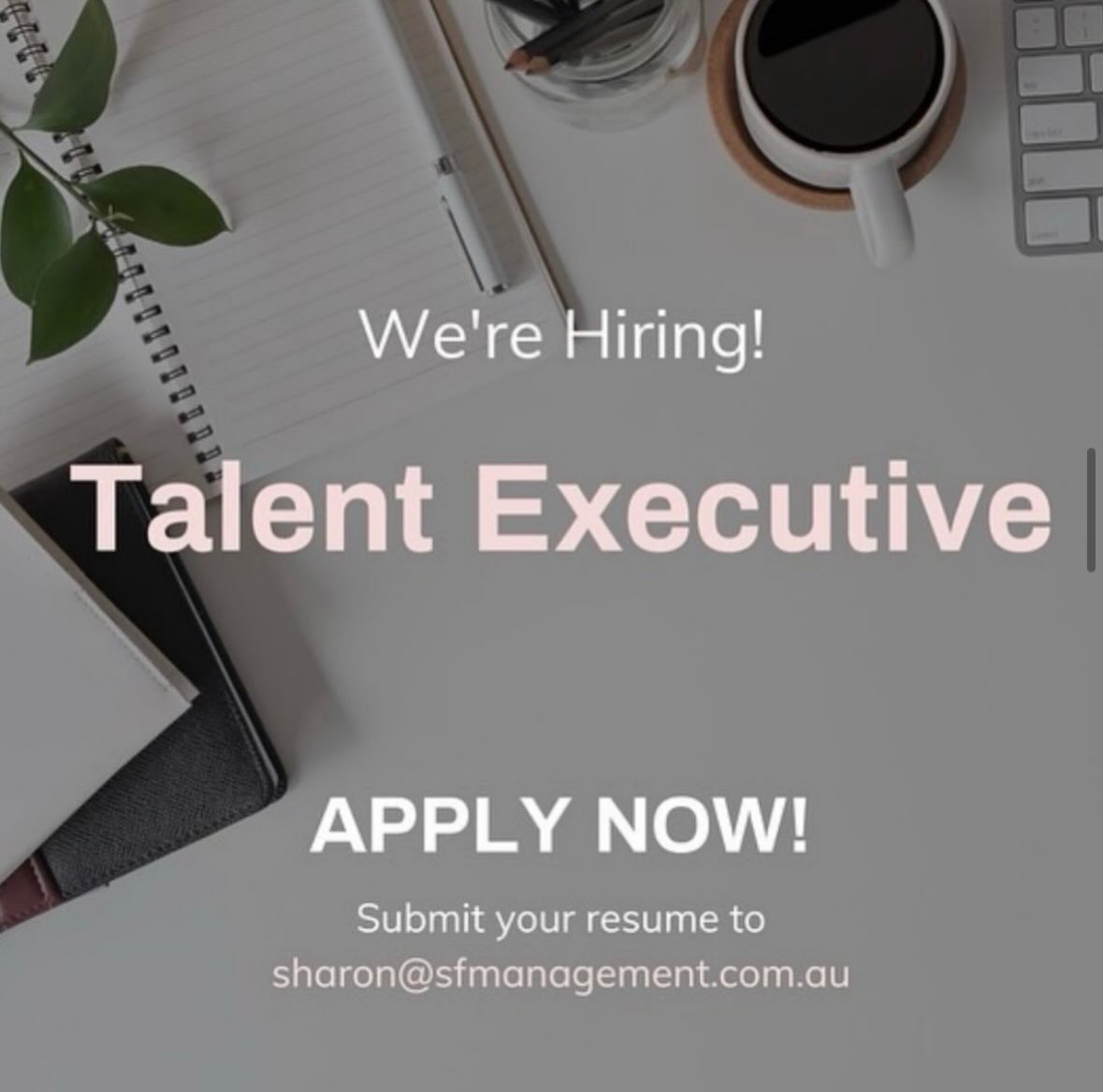 We’re hiring! Do you want to look after some fabulous talent?!? ✨Please send your resume to sharon@sfmanagement.com.au
#talentmanagement #job
