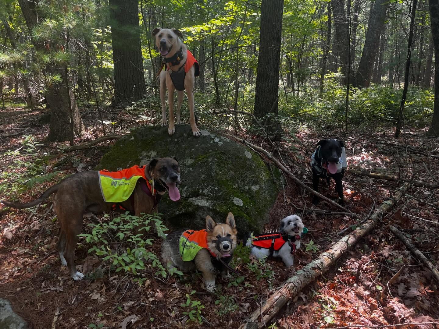 Some pictures from this past week! We’ve had some fun adventures!
