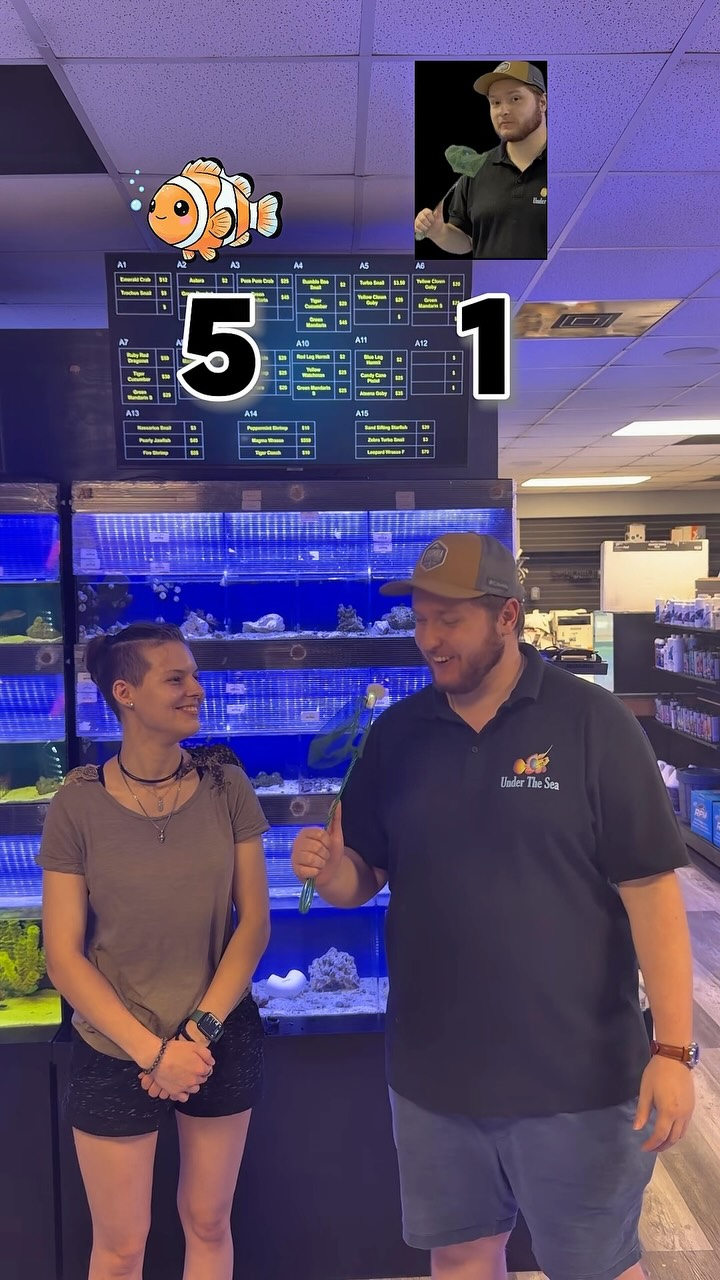 Apparently we’ve got a few fish working and shopping here. 🐟😂
📍 3816 Sardis Church Rd, Unit 107
🕙 Tue–Sat 10–6 | Sun 12–5 | Closed Mon
📞 980-328-0000
🌐 https://www.undertheseanc.com/retail-store #reeftank #aquariumhobby #fishtank #reefaquarium #coral
