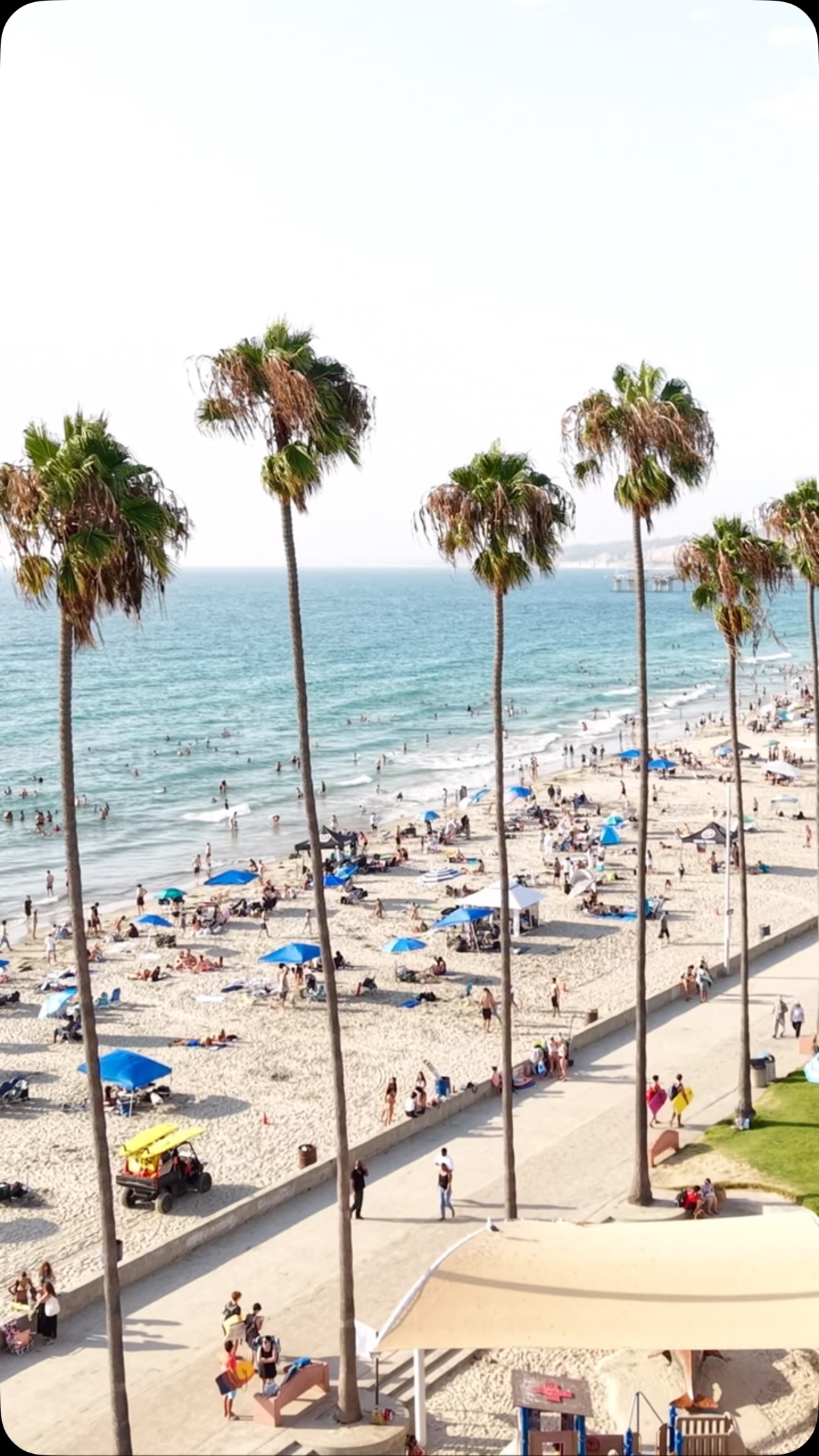 Feels good here ☺️🏖️🌴☀️🌊🫶🏼
📍La Jolla Shores
#lajollashores #feelsgood #sandiegohiddengems #graydreaming #californialove