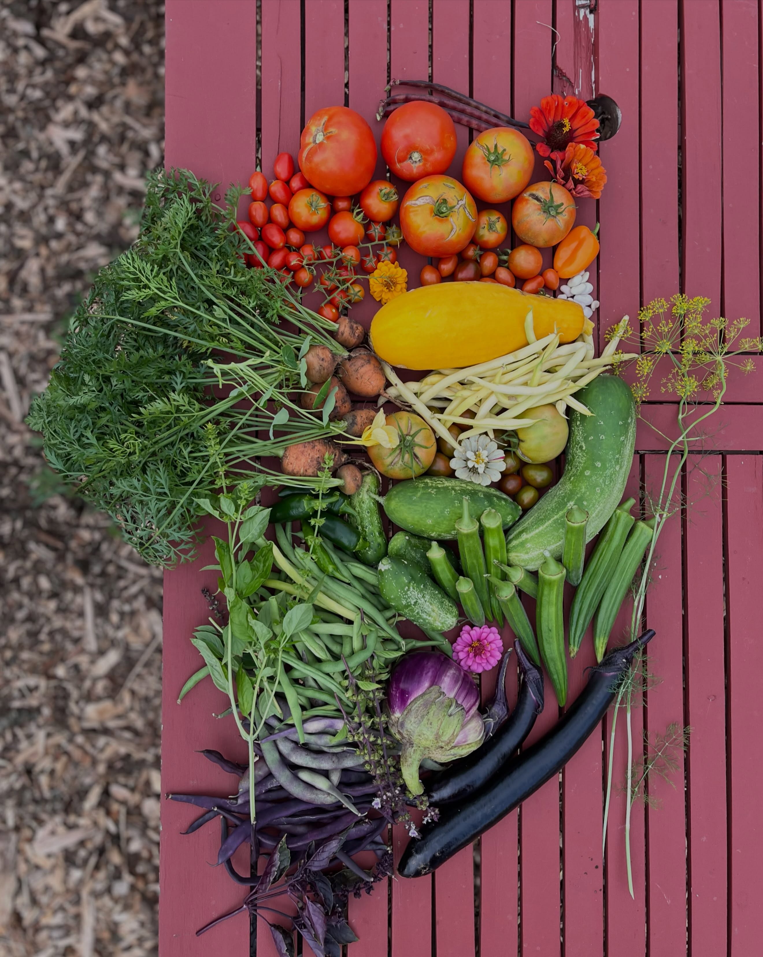 Farmstand harvesting, but make it aesthetic 🌈 #urbangarden