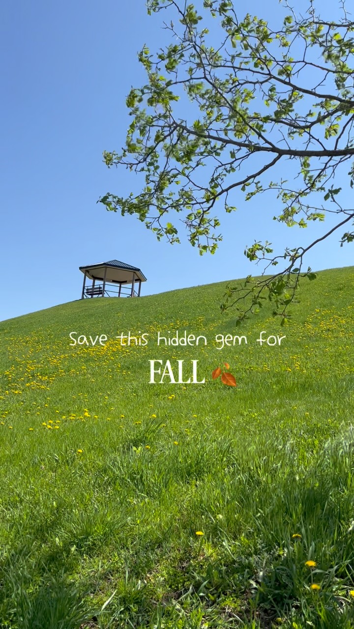 🍂💎 SAVE THIS HIDDEN GEM FOR FALL
✨ Did you know that there’s a secret lookout, off the beaten path just outside of Pembroke?
📍The Westmeath Lookout is less than an hour and a half from downtown Ottawa and it’s so worth the drive to see this sweet spot!
A short hike (not a hike but a 1 minute trek) up the hill brings you to the lookout where you have a 360 degree view of the Ottawa River and surrounding farmlands.
This is the perfect picnic stop with benches and lots of green space. I can only imagine what the view would look like here in the fall! 🍁Spectacular!
Pack a blanket, your picnic basket and some binoculars and set out here to spend a peaceful few hours.
I also love ❤️ that it was donated by Mrs Wright in honour of her late husband John. 🥹
*This beauty makes an appearance on our “Wonderful Waterfalls and Lookouts” journey. 💌
@unexpectedjourneys1 @onhighlands @ottawavalleytravel #myottawa #ottawavalley #offthebeatentrack #lookouts #fall