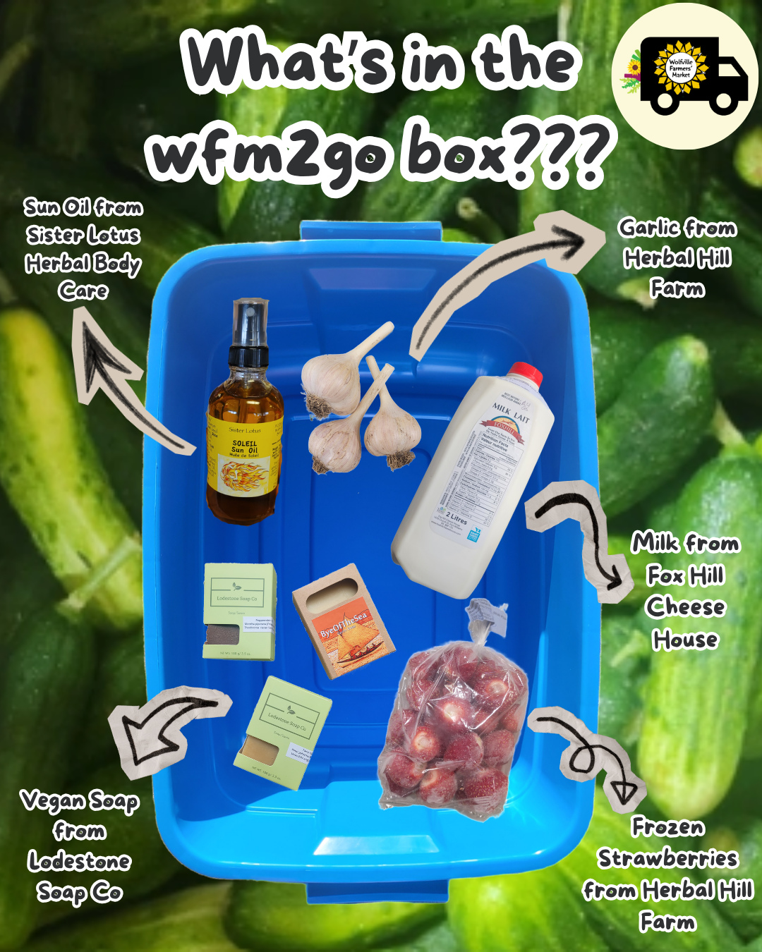 What's in your wfm2go box? Let us know!🌻🌱☀️🫶
All of these locally made goodies and market favs can be found online through our website wfm2go.ca and are delivered all over the Valley and HRM area!!✨️
#wolfvillefarmersmarket #wolfville #annapolisvalley #novascotia #farmersmarket #wfm2go #shoplocal #eatlocal #buylocal #supportlocal #freshproduce #community #letsdothis