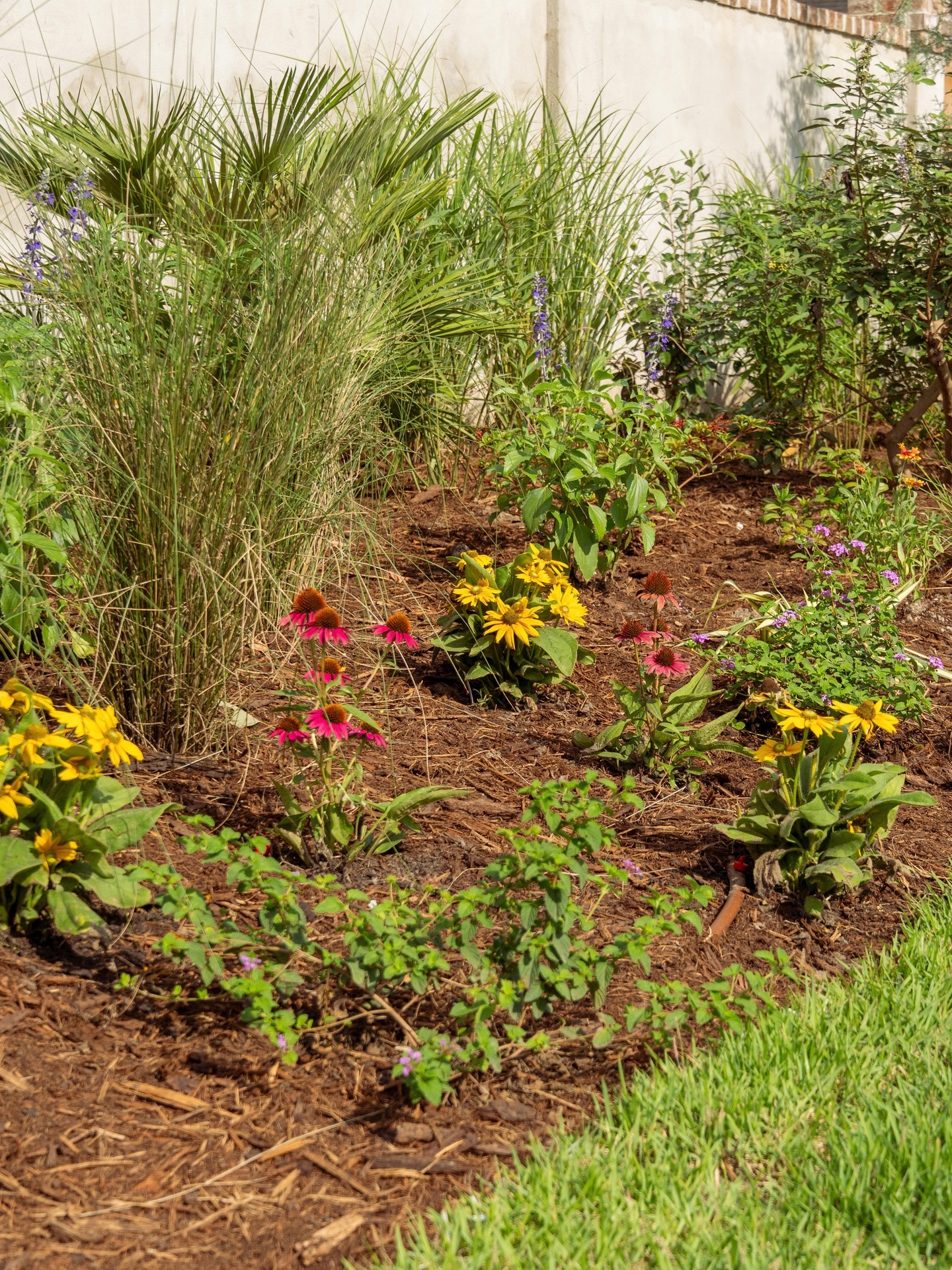 Are you joining the Great Southeast Pollinator Census? Come count with us at the shop or in your garden! 🐝 🪲
Get ready for next years count by planting your very own pollinator garden and transform your space into a pollinator oasis. Overwhelmed and need help? Fill out the design consult form linked in our!
