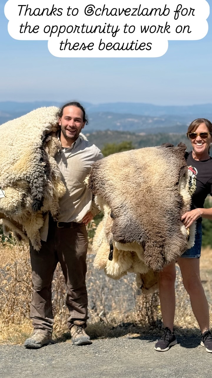 Just finished a batch of 35 sheepskins that definitely were a ton of work and sweat to tan. 😆 But so worth it! After fleshing, salting, washing, pickling, shaving, tanning, oiling, drying, tumbling, combing, washing again, combing again, tumbling, and combing a 3d time, here’s the result! Look for these coming on sale from @chavezlamb in the coming months. Thanks again Heather and Jacob for the opportunity to work on these. Looking forward to the next batch! #localsheepskinproducts #sustainabletanning #sheepskinrug #hidetanning