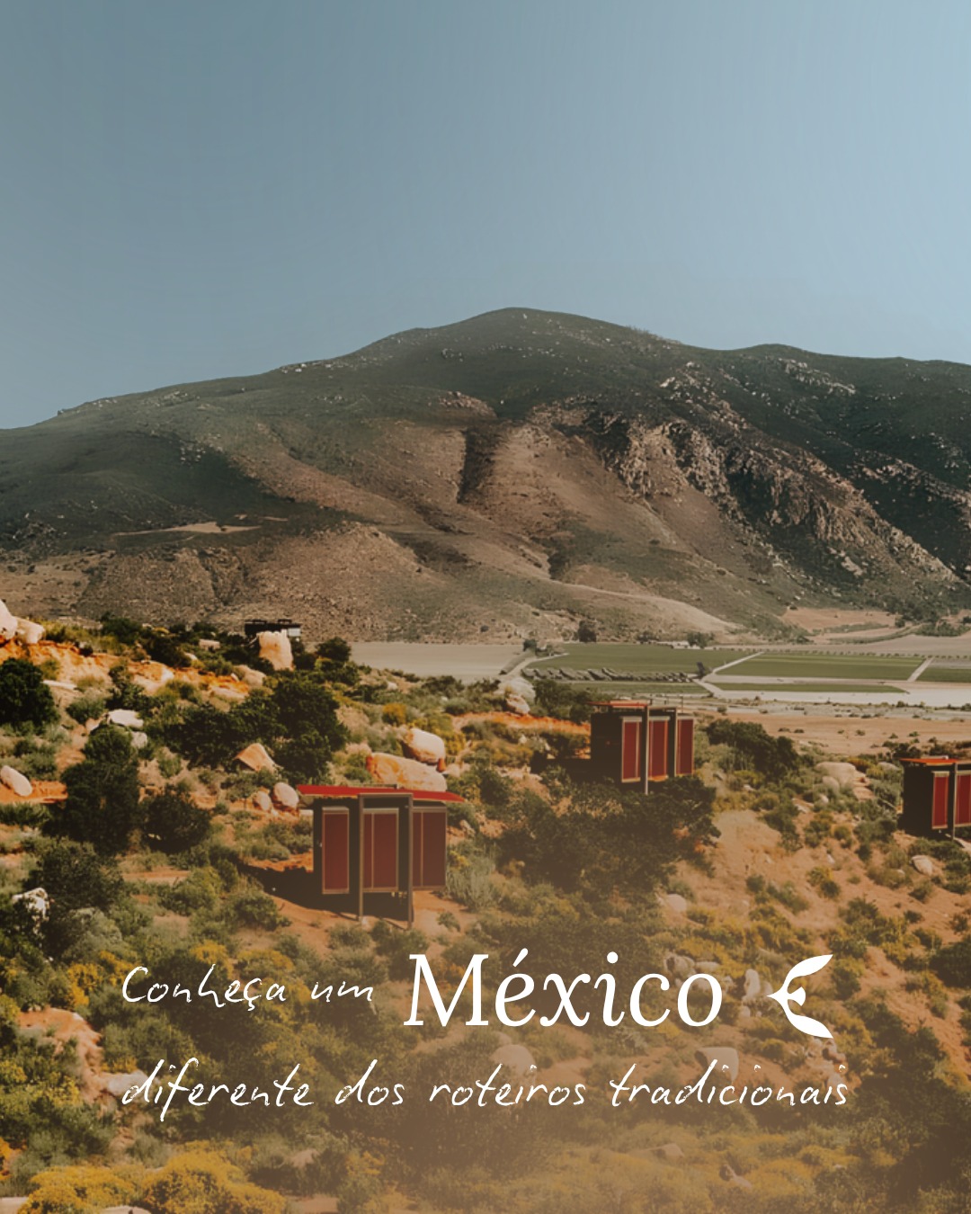 O México é um dos países com maior diversidade de experiências de alto padrão nas Américas - e um dos mais subaproveitados por quem viaja bem. Cancún e a Riviera Maya são apenas uma camada, e podem não ser sempre a mais interessante para você. Baja California e San Miguel Allende representam um outro México: mais autoral, mais gastronômico e com a cultura mais preservada.
É o tipo de roteiro que surpreende.
Venha desenhar a sua próxima experiência com o cuidado e curadoria que fazem a diferença.