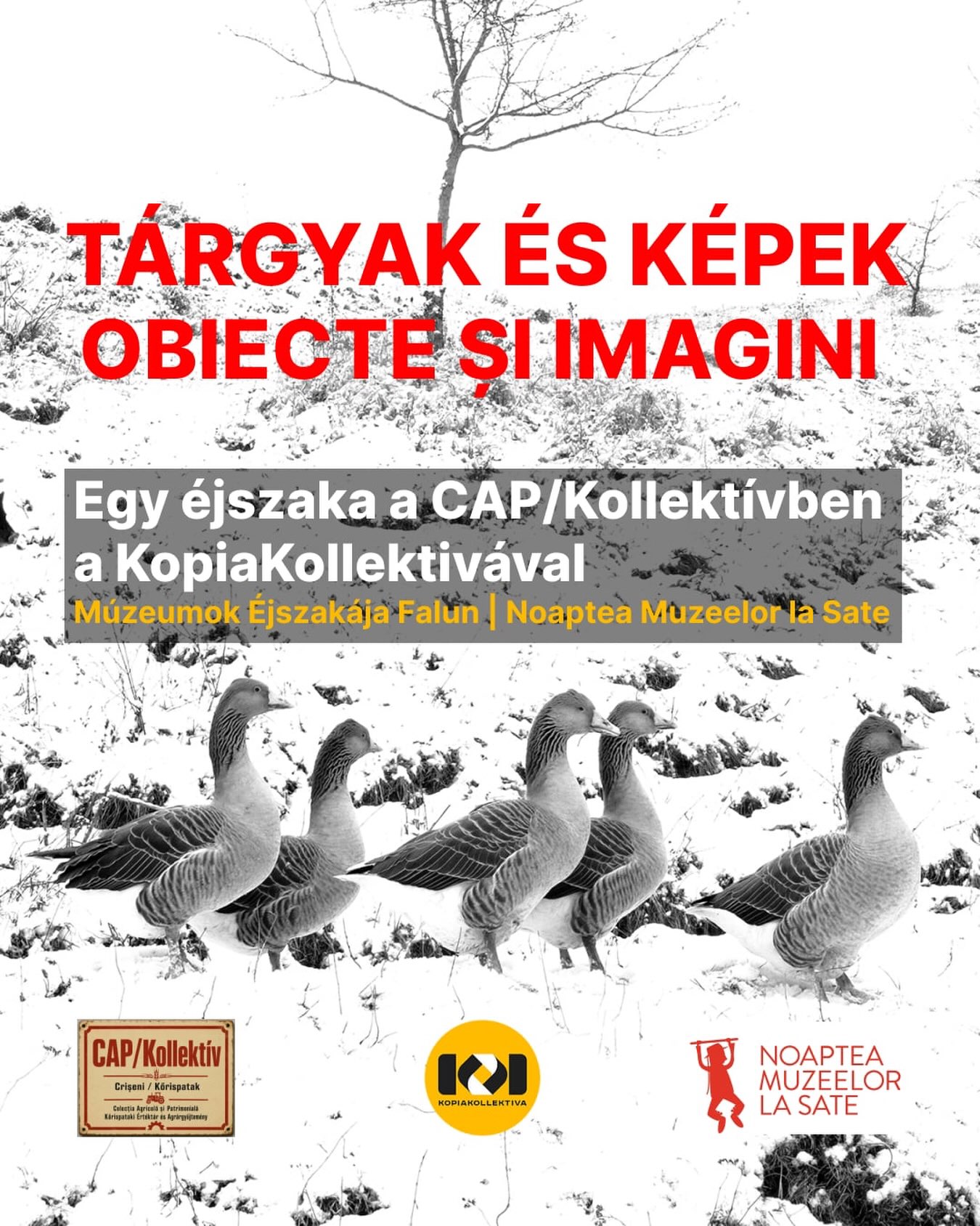 ⏰Mikor? 2026. augusztus 29., 21:00-00:00
📍Hol? Kőrispatak, nr.258/D, Hargita megye, CAP/Kollektiv
A Múzeumok Éjszakája Falun keretében a KopiaKollektiva Egyesület nyitott esti programot szervez a CAP/Kollektívben, amely ezen az estén nyílik meg először hivatalosan a nagyközönség előtt.
A program a VI. Kopia Alkotótábor „Érintések és találkozások” című alkotótáborának része. Az este középpontjában a kortárs fotográfia, az agrárörökség és a vidéki táj kapcsolata áll.
A fotókiállításon a KopiaKollektiva alkotóinak – Balla Zoltán, Kerekes Emőke, Lőrinczi Inez és Torkos Márk Erik – Bitter Salt Flow című projektjéből, valamint Kerekes Emőke Saját föld című sorozatából látható válogatás. A munkák a földhöz, vízhez, tájhoz és környezetünkhöz fűződő viszonyt vizsgálják.