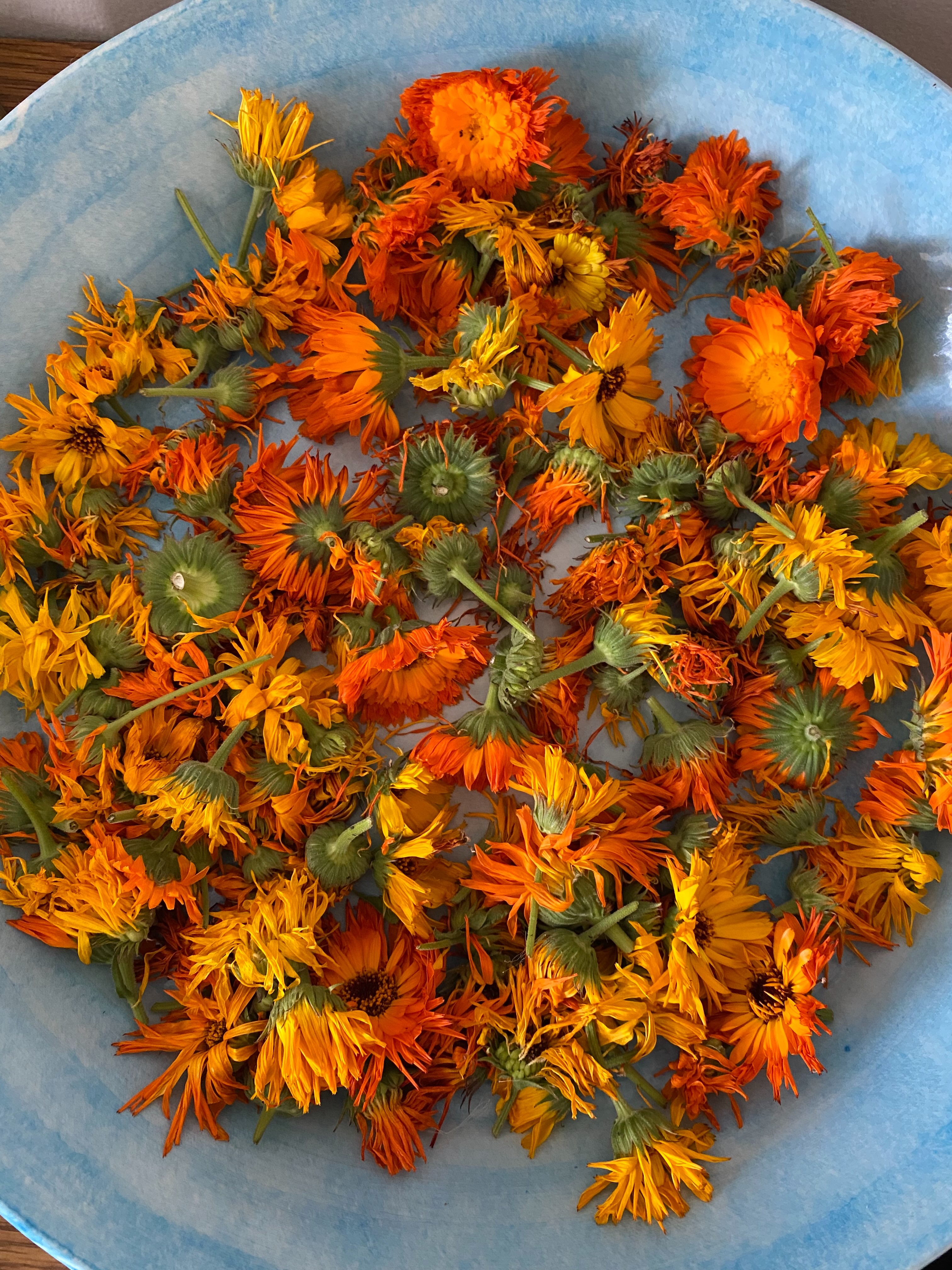 Postpartumdoulalivet på senaste 🌼
Nu ska jag förbereda örtblandningar för sittbad med dessa vackra ringblommor som familj och vänner så generöst odlat och torkat åt mig. Redo för höstens postpartumuppdrag! 😌