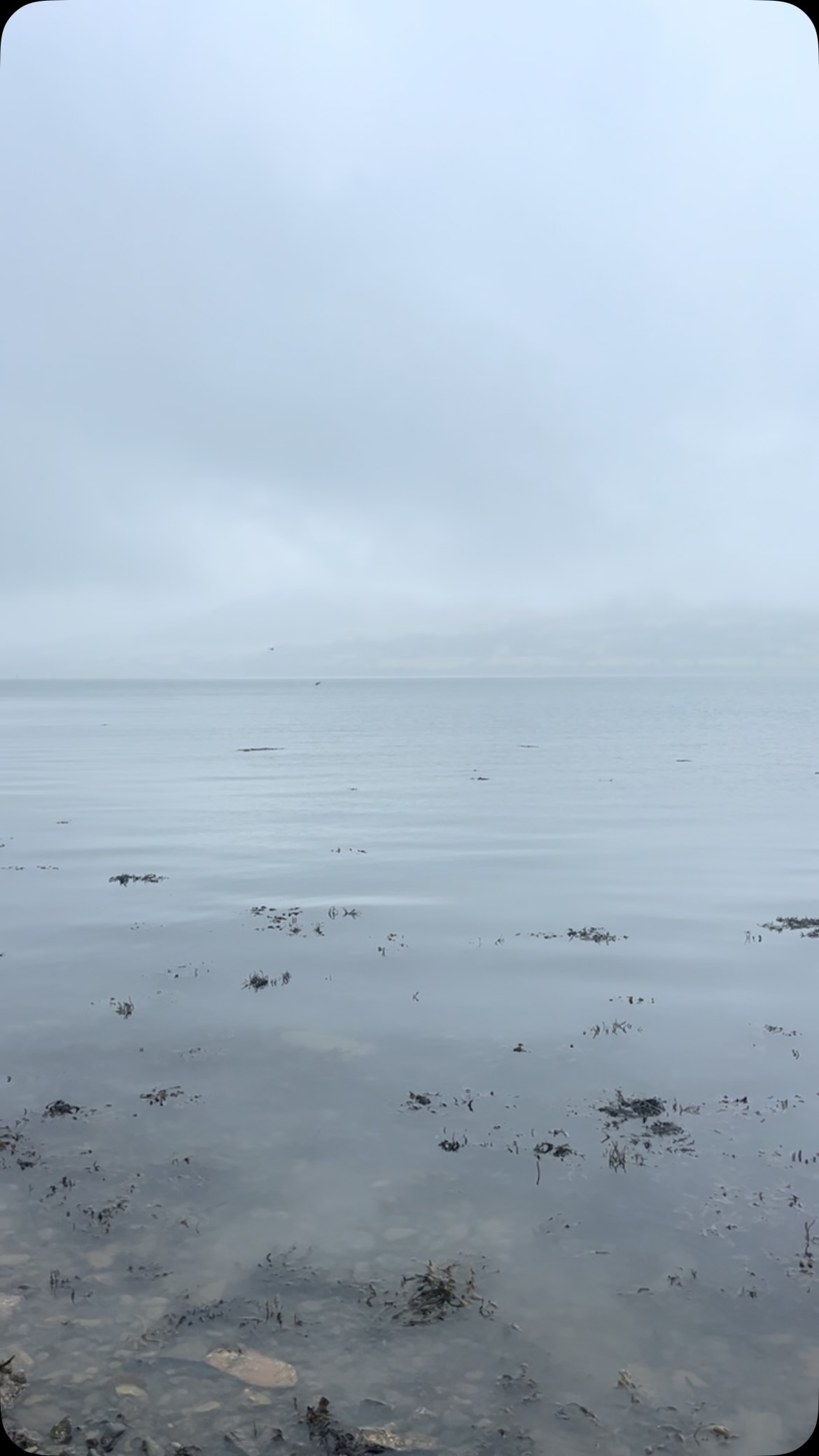 What passes for beach life in Northern Ireland! Honestly a relief after 8 weeks of heatwave in London. I still swam. #coldwaterswimming #ireland #asmr #writerslife