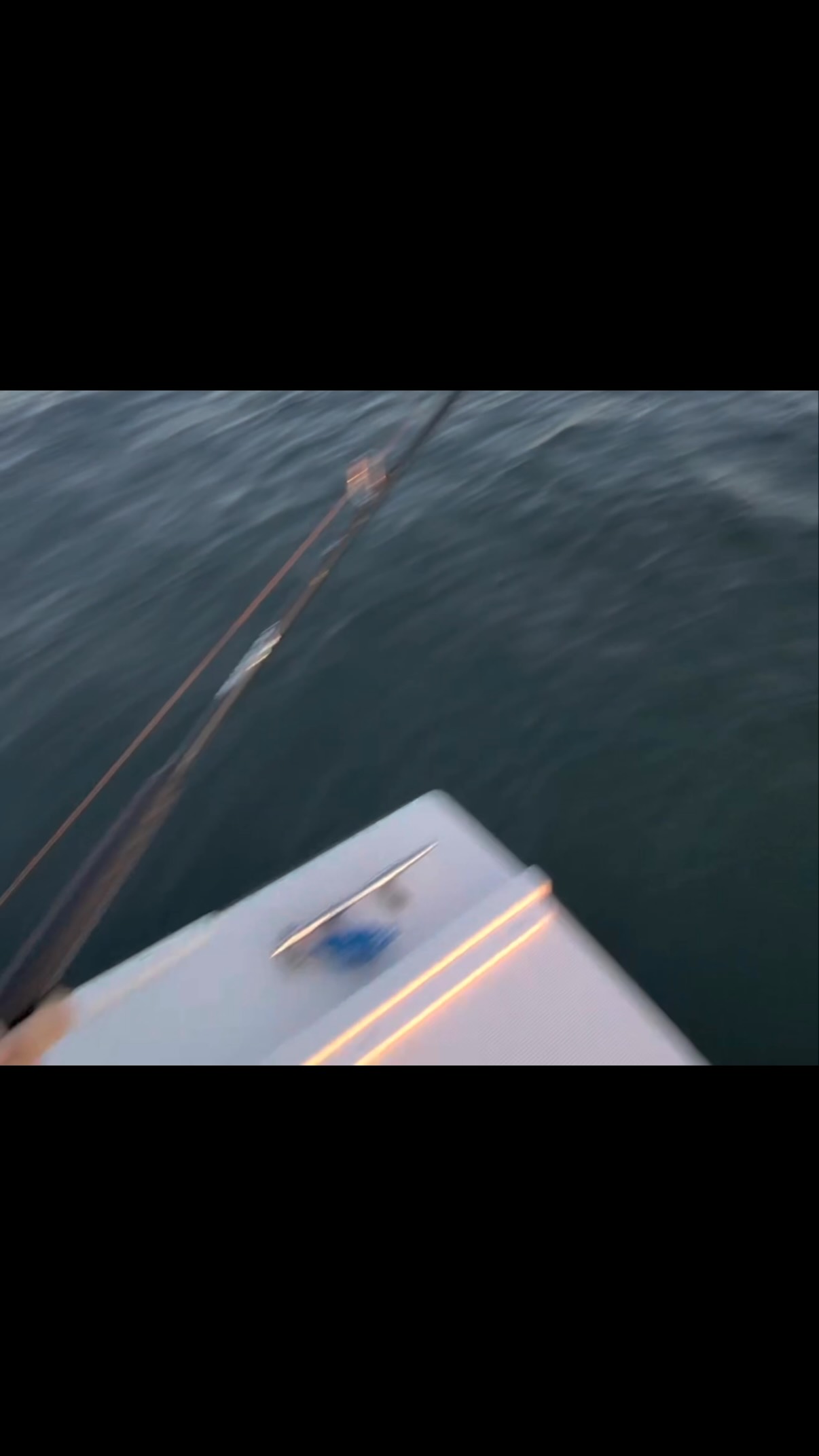 It’s mid August and Bluefin Sound Charters is still crushing the bass! 🎣🔥
While this time of year can have you changing things up, we’re still putting in the time, staying on the bite, and finding those big ol’ bass!
The season is far from over and the big girls are still around. 💪🐟
Bluefin Sound Charters stay grinding, stay catching! ⚓️🎣 #bluefinsoundcharters #bass #fishing #fyp #newrochelleny