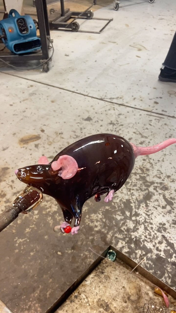 Just a chain smoking rat 🚬 🐀
Originally inspired by mice used in COPD research
#glassblowing #rat #mouse #smokingrat