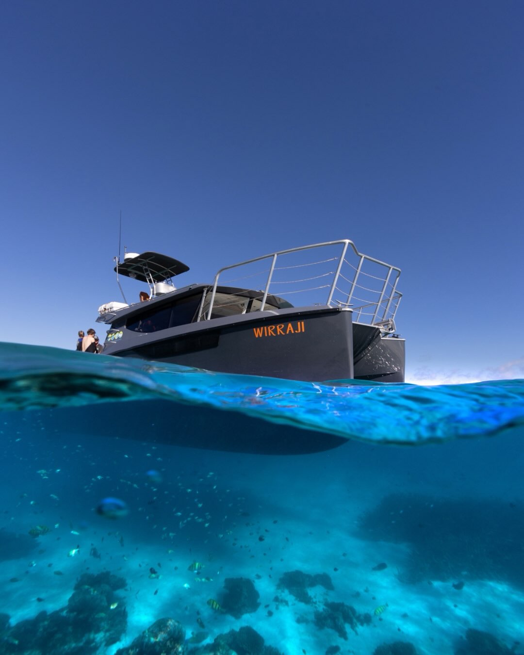 Discover the magic of the Ningaloo Reef aboard Wirraji, Australia’s first electric ocean-going charter vessel. ⚡️🌊
Our Coral Bay Exclusive is a full-day adventure exploring the incredible Coral Bay coastline, with the chance to encounter majestic manta rays, vibrant coral gardens and an abundance of marine wildlife. 🐢🐠🤿
With our whisper-quiet electric vessel, small groups and an incredible crew, you’ll experience the reef in comfort while getting up close to the magic of Ningaloo. 💙
🚌 Staying in Exmouth? We offer complimentary courtesy bus transfers to and from Coral Bay.
📍 Already in Coral Bay? Simply meet us there and step aboard Wirraji for your day on the reef!
Bookings are open, come experience Coral Bay Exclusive for yourself.
Photos @annalofiphoto @beclaidlaw.photography @ollieclarkephoto @lauratierney
#CoralBay #NingalooReef #MantaRay #WesternAustralia #AustraliasCoralCoast