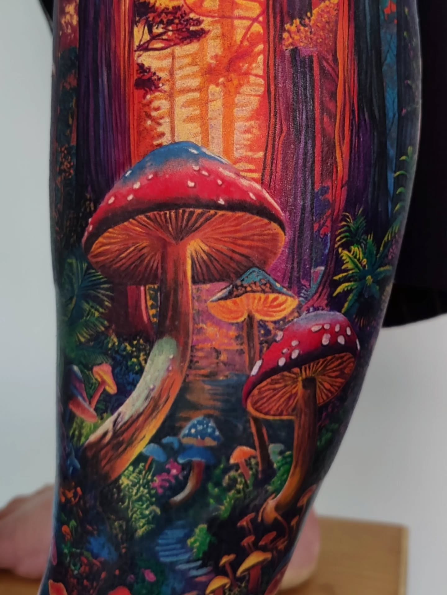 Welcome to the magical forest. 2 days of fun colours and magic. Bottom part (mushrooms) are healed.
Thank you so much for awesome days!