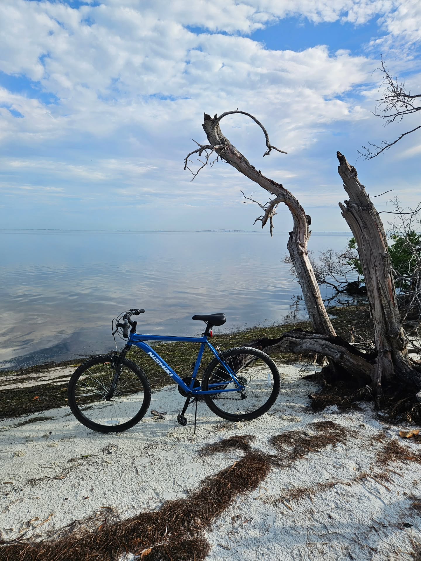 Beautiful day for biking.