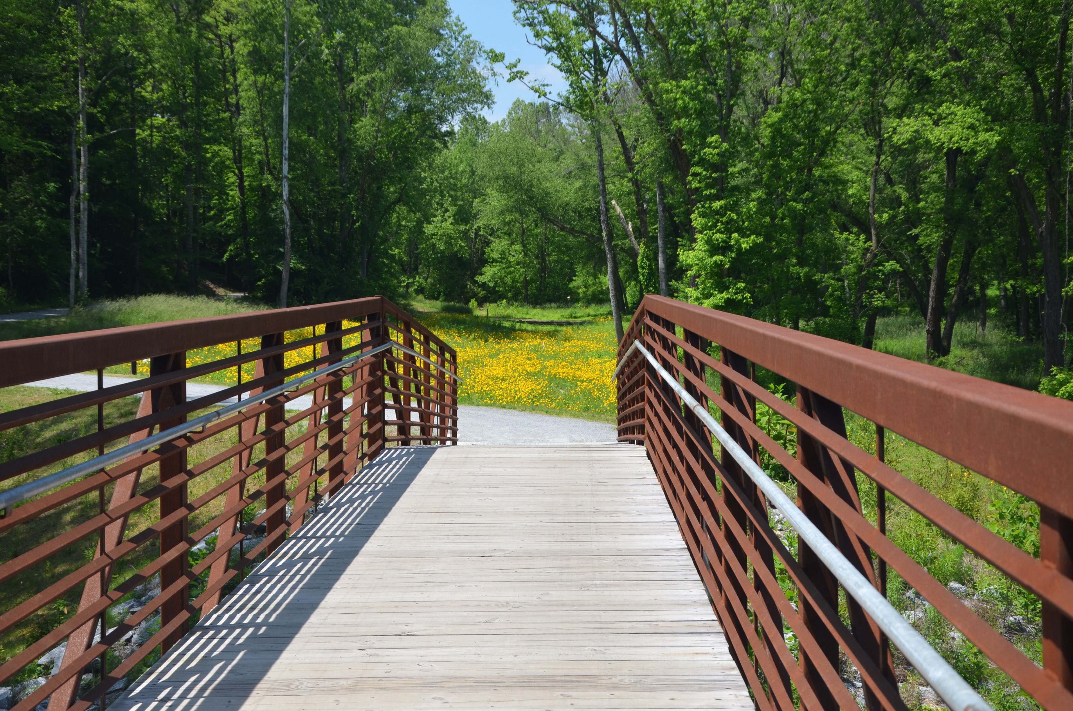 Trail Tuesday 🌿 Sometimes the best way to spend an afternoon in Elkin is to simply follow the trail