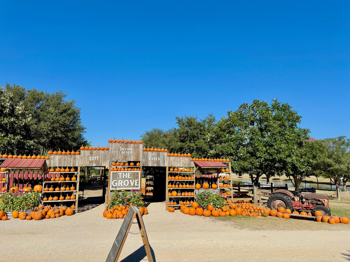 โจ Days like these are sooo close, y'all. Our Flash Sale goes live in ONE week! Save 44% on tickets to San Antonio's favorite fall outing ๐๐
โฐ Set your alarms for August 24 at 8am
๐ Subscribers get early access: devineacresfarm.com/newsletter
Stay tuned for an EXCITING announcement coming later this week ๐