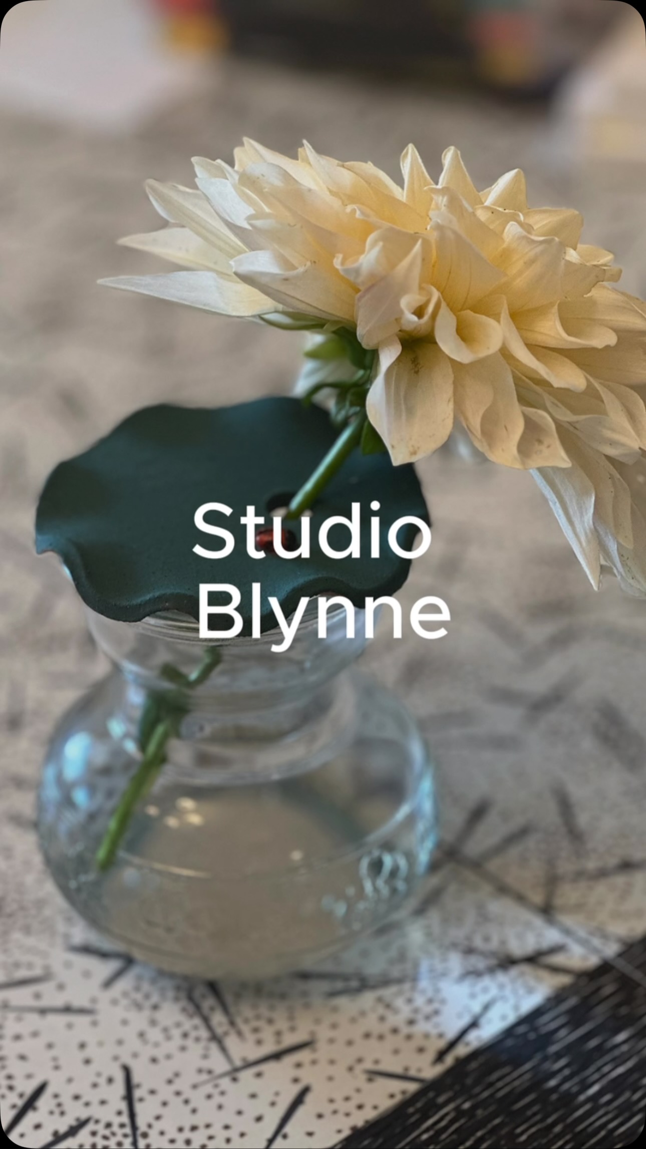 Simple joys. #studioblynne #asheville #garden #ceramics #ladybug